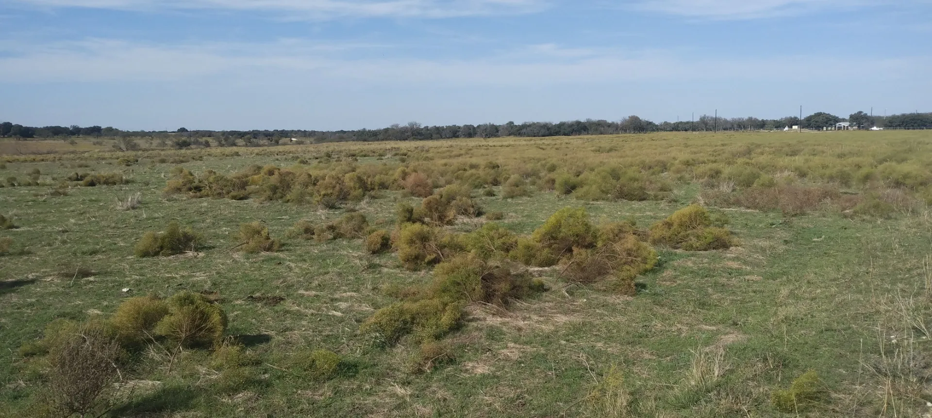 View of nature featuring a rural view