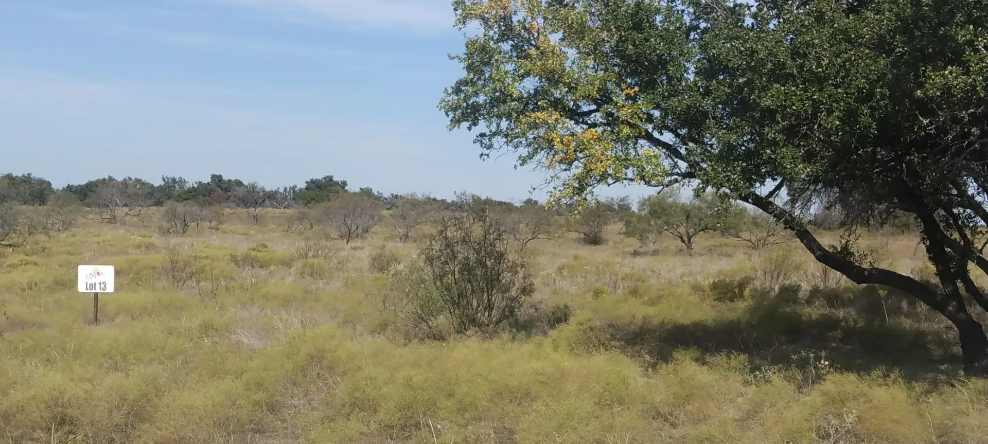 View of landscape