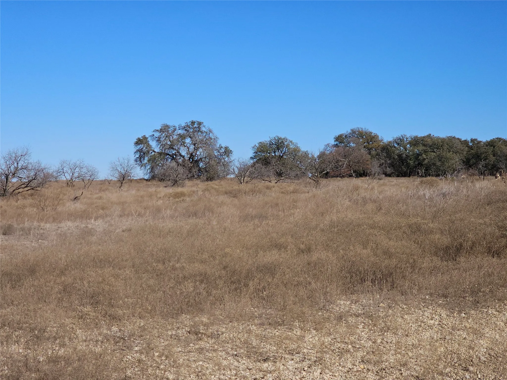 View of local wilderness featuring a rural view