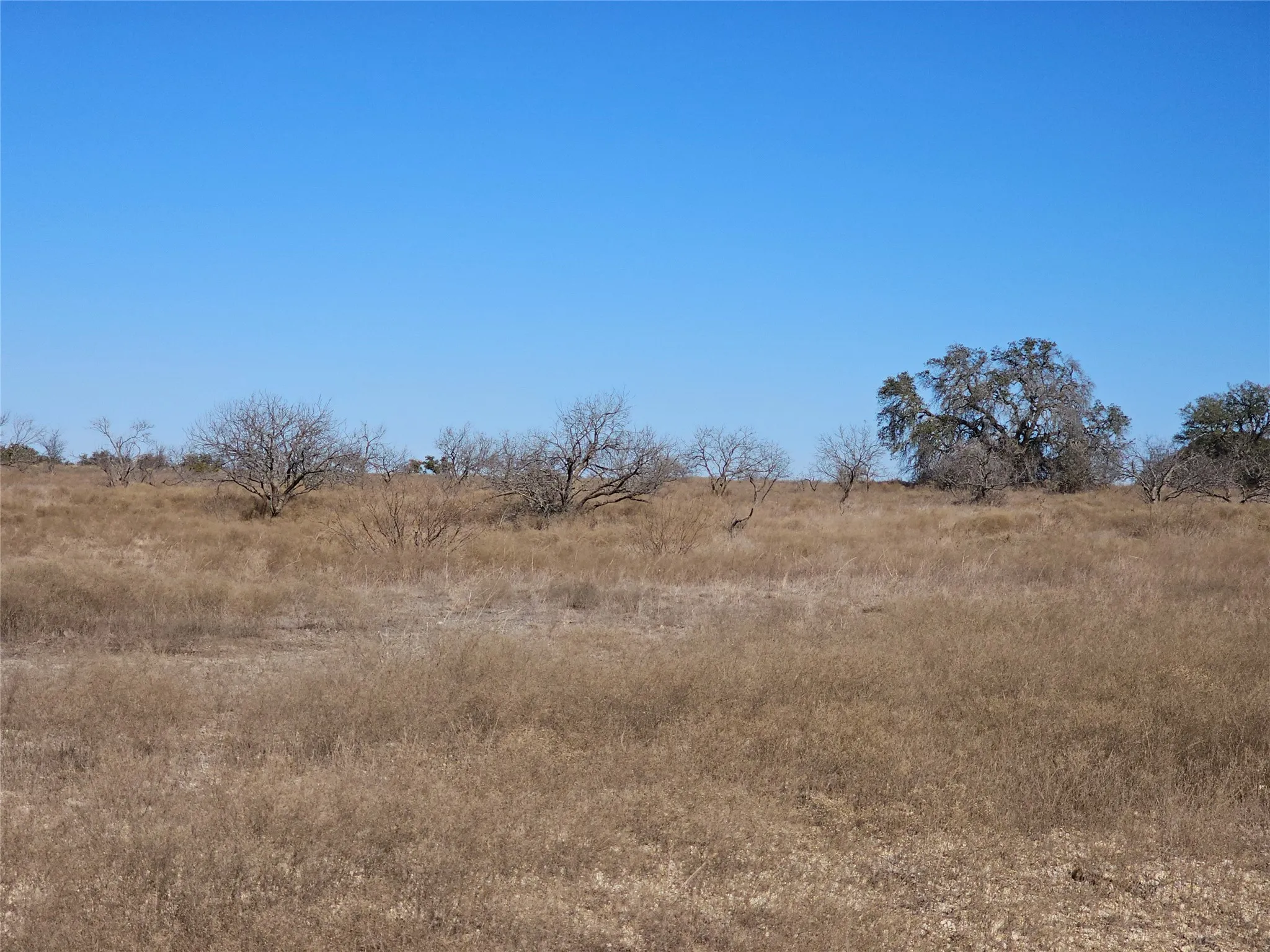View of local wilderness featuring a rural view