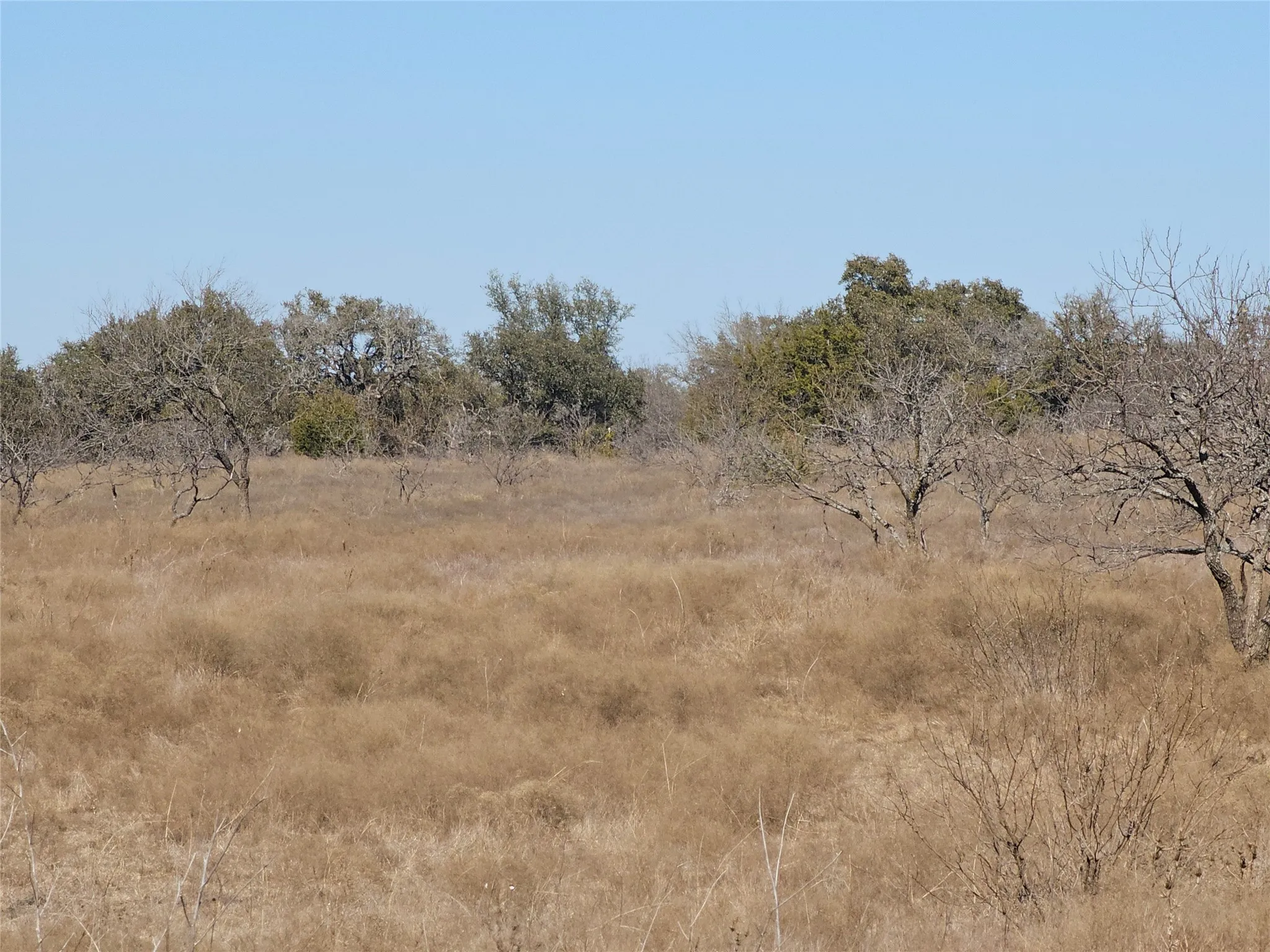 View of local wilderness