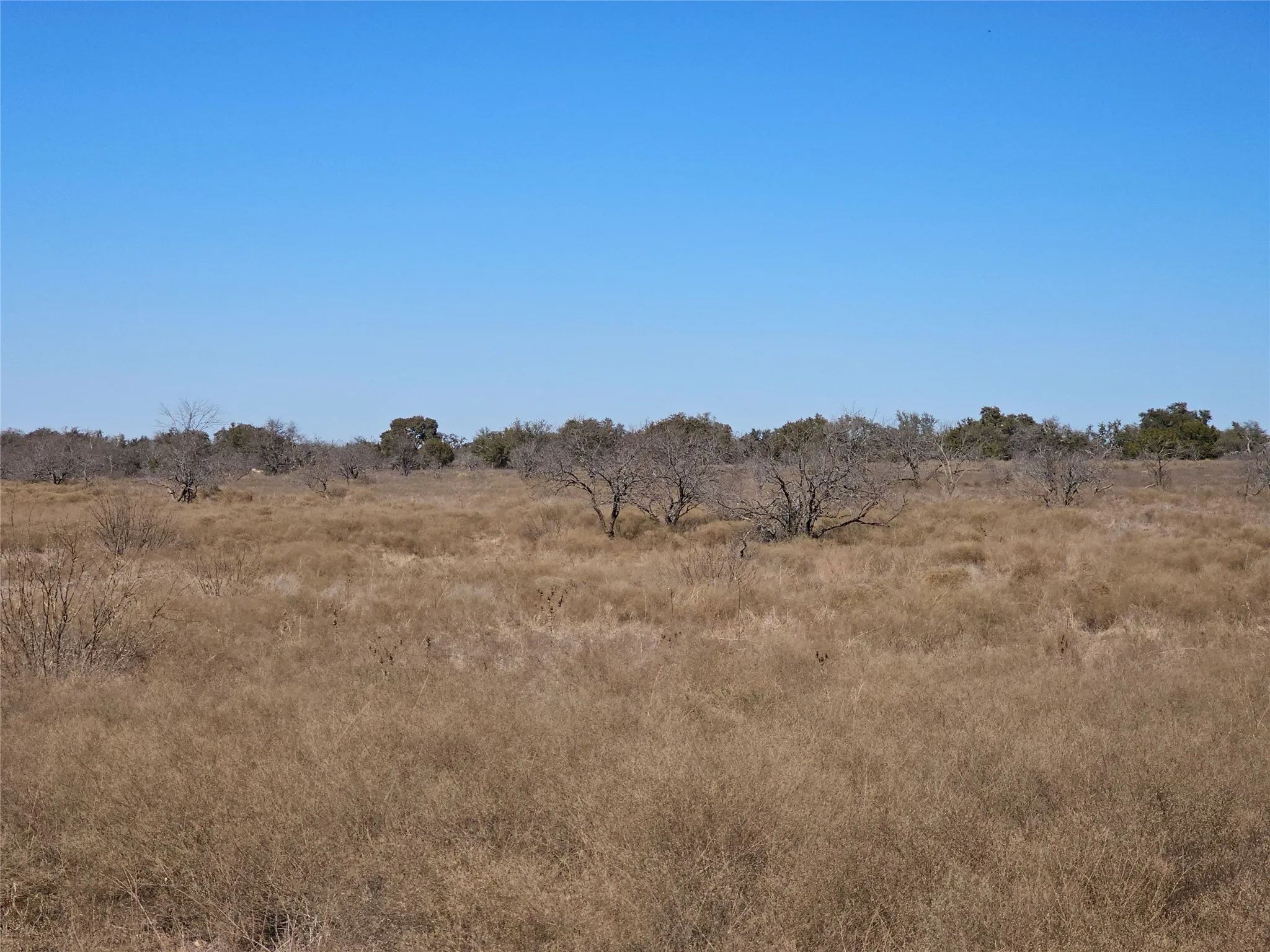 View of nature with a rural view