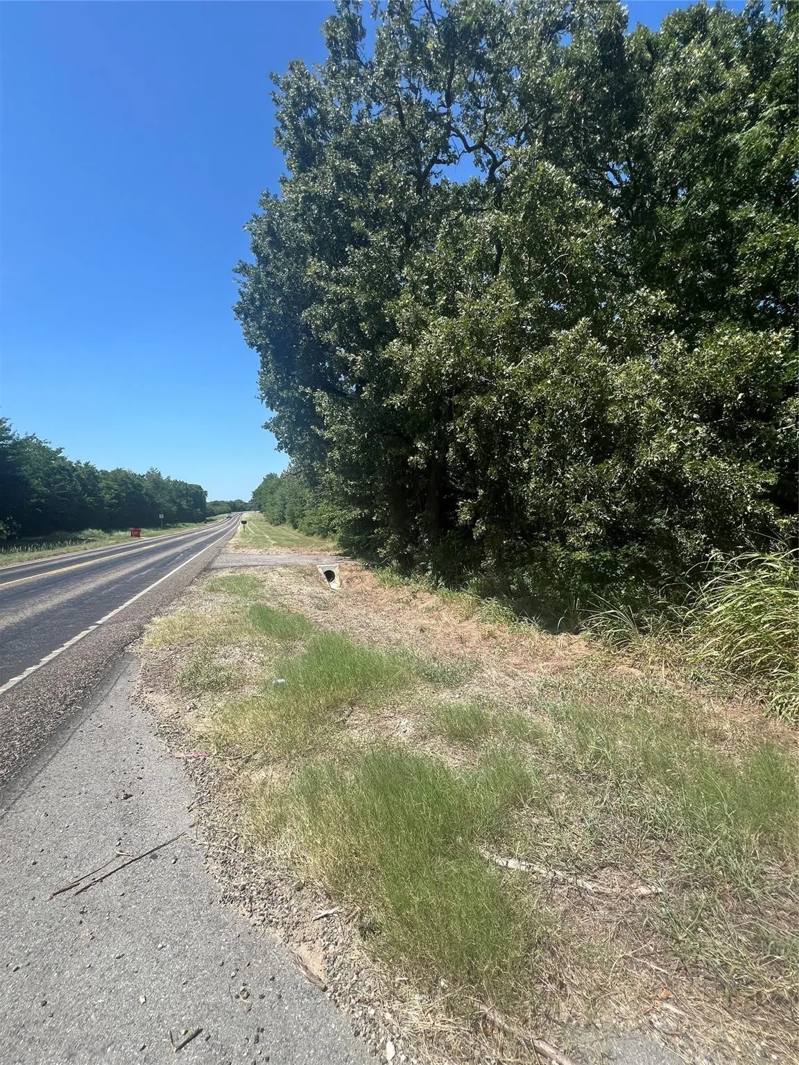 Improved Land For Sale in Fannin County , 8929 W Fm 898, Savoy, Texas 75479, 0, 0, Garage spaces, 0 Sqft, built in 0, Price $85,000, mls#21167736, Real Estate Agent in Savoy, Homes For Sale in Fannin county, Homes For Sale in Savoy, Realtor in Savoy Texas, Real Estate Brokerage Independent Realty Texas, Luminita Cordes Realtor