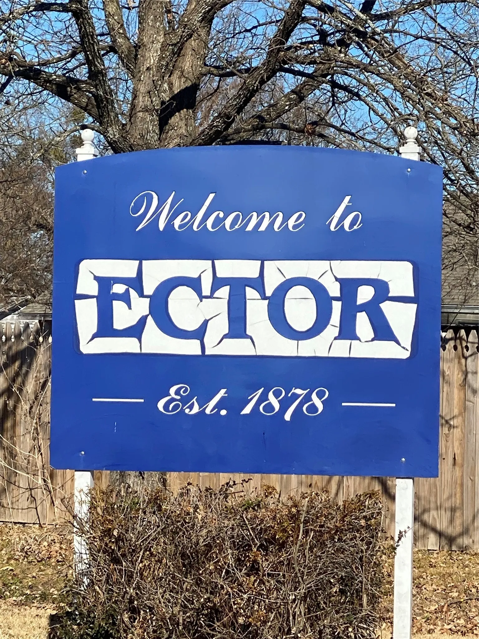 Improved Land For Sale in Fannin County , 8929 W Fm 898, Savoy, Texas 75479, 0, 0, Garage spaces, 0 Sqft, built in 0, Price $85,000, mls#21167736, Real Estate Agent in Savoy, Homes For Sale in Fannin county, Homes For Sale in Savoy, Realtor in Savoy Texas, Real Estate Brokerage Independent Realty Texas, Luminita Cordes Realtor