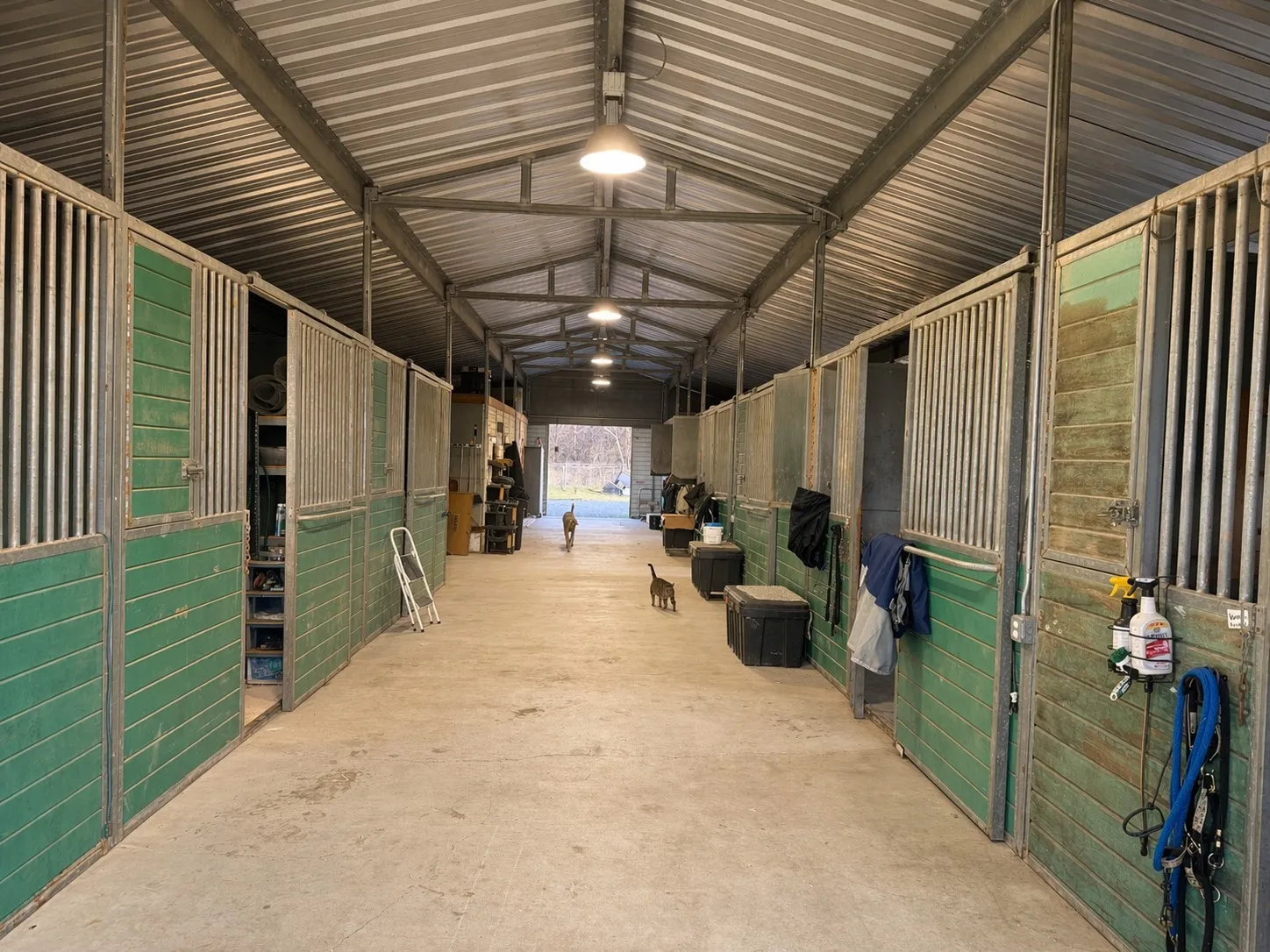 8 stall horse barn - complete with barn cats!