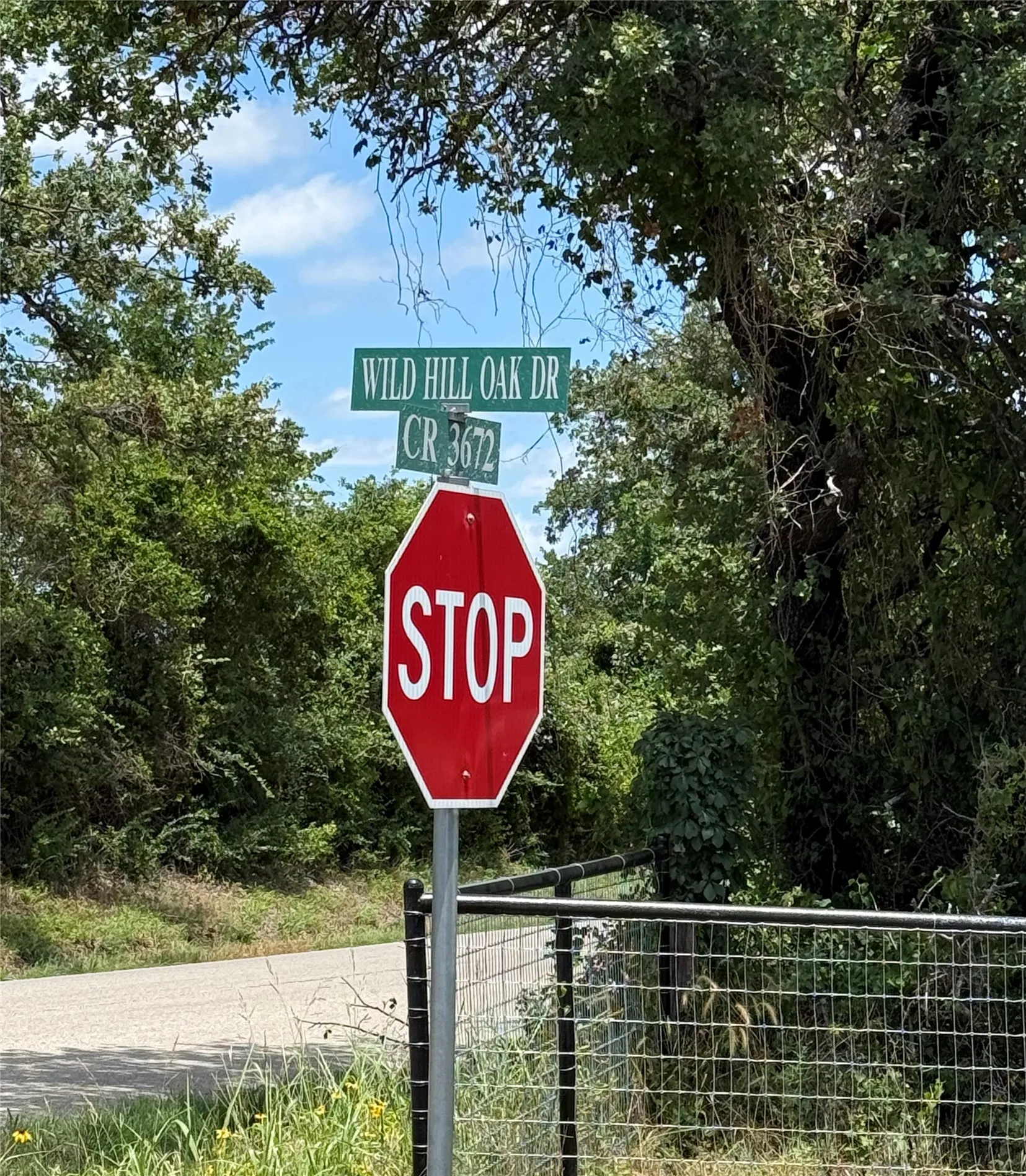 Street sign reads Wild Hill Oak Dr. Google requires Wild Oak Hill for proper directions.