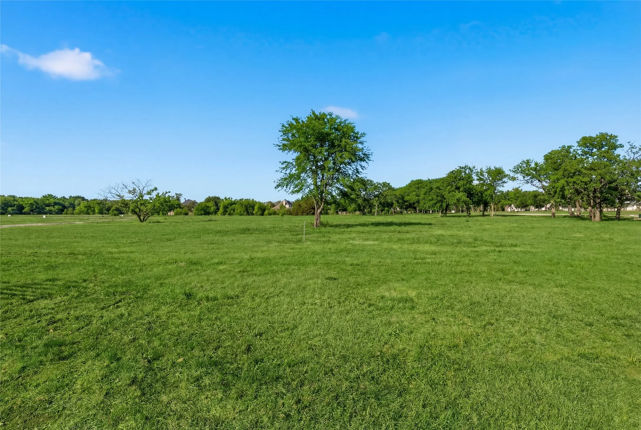 This is a photograph of Lot 13 Block H and was captured in February. It has been digitally enhanced to emphasize the presence of leaves and grass.