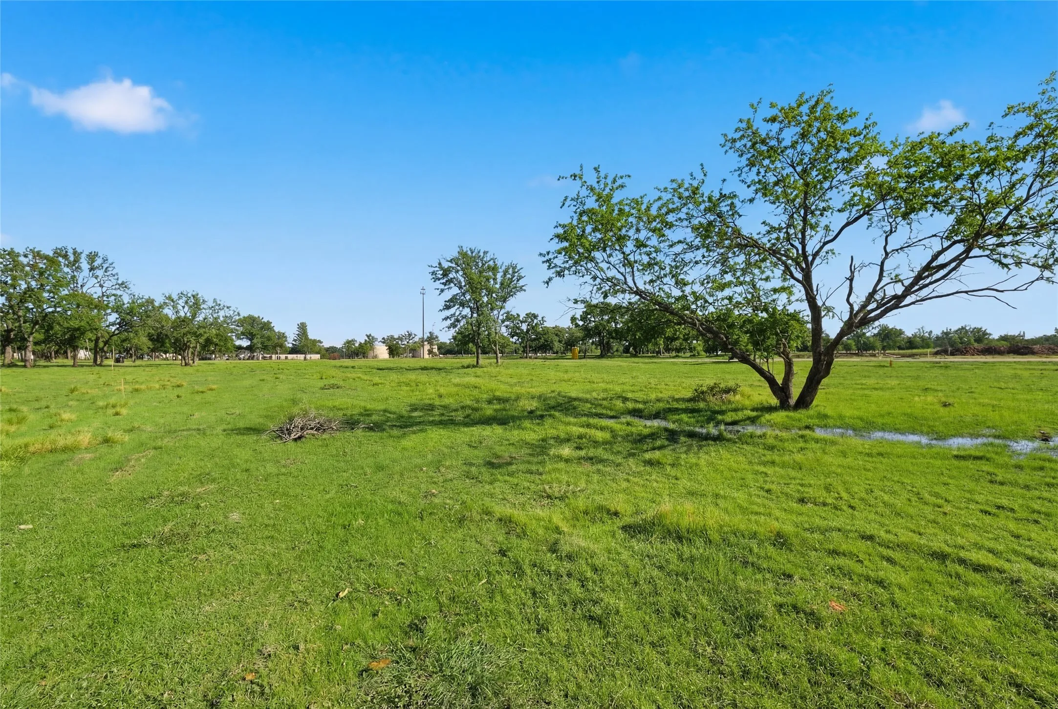 This is a photograph of Lot 13 Block H and was captured in February. It has been digitally enhanced to emphasize the presence of leaves and grass.
