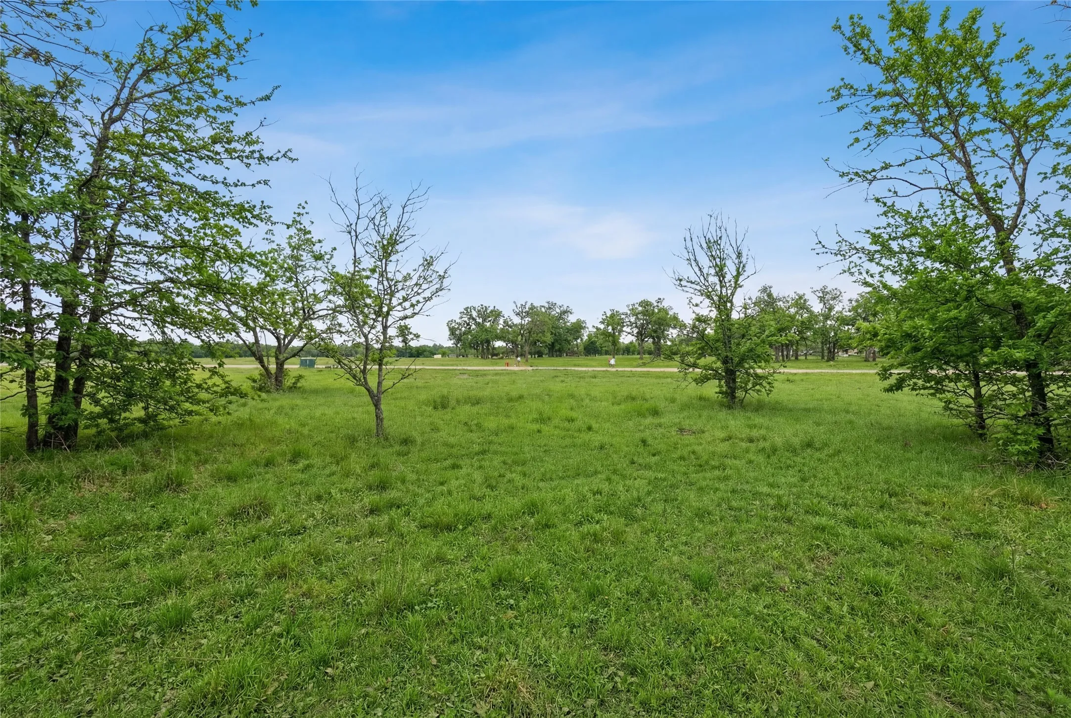 This is a photograph of Lot 4 Block G and was captured in February. It has been digitally enhanced to emphasize the presence of leaves and grass.