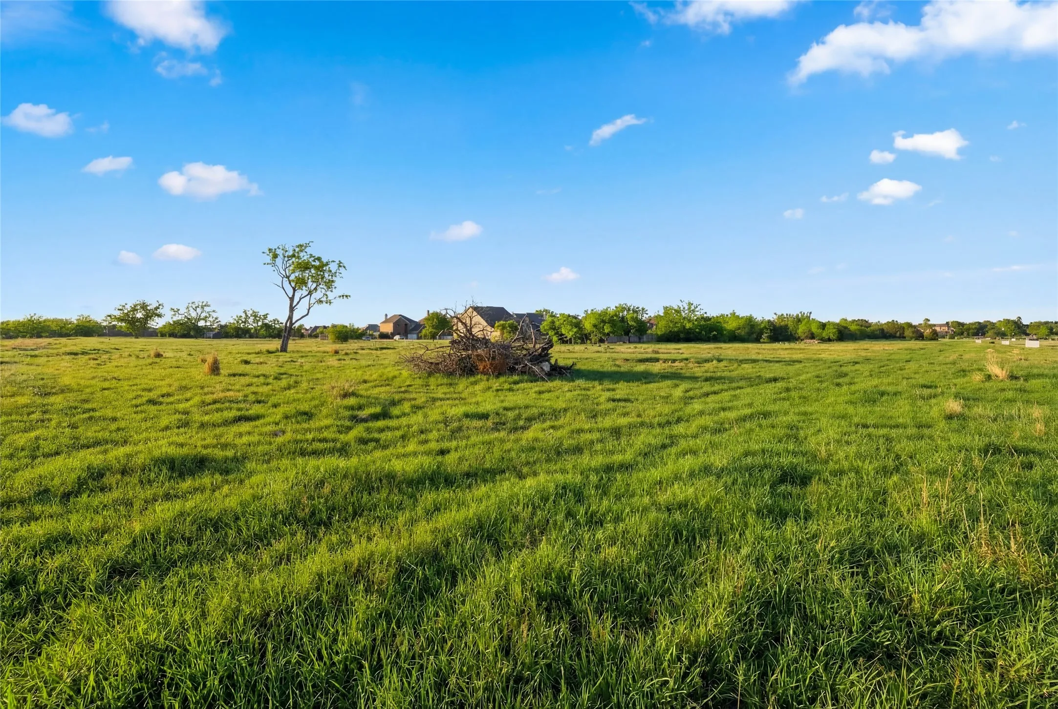 This is a photograph of Lot 2 Block H and was captured in February. It has been digitally enhanced to emphasize the presence of leaves and grass.