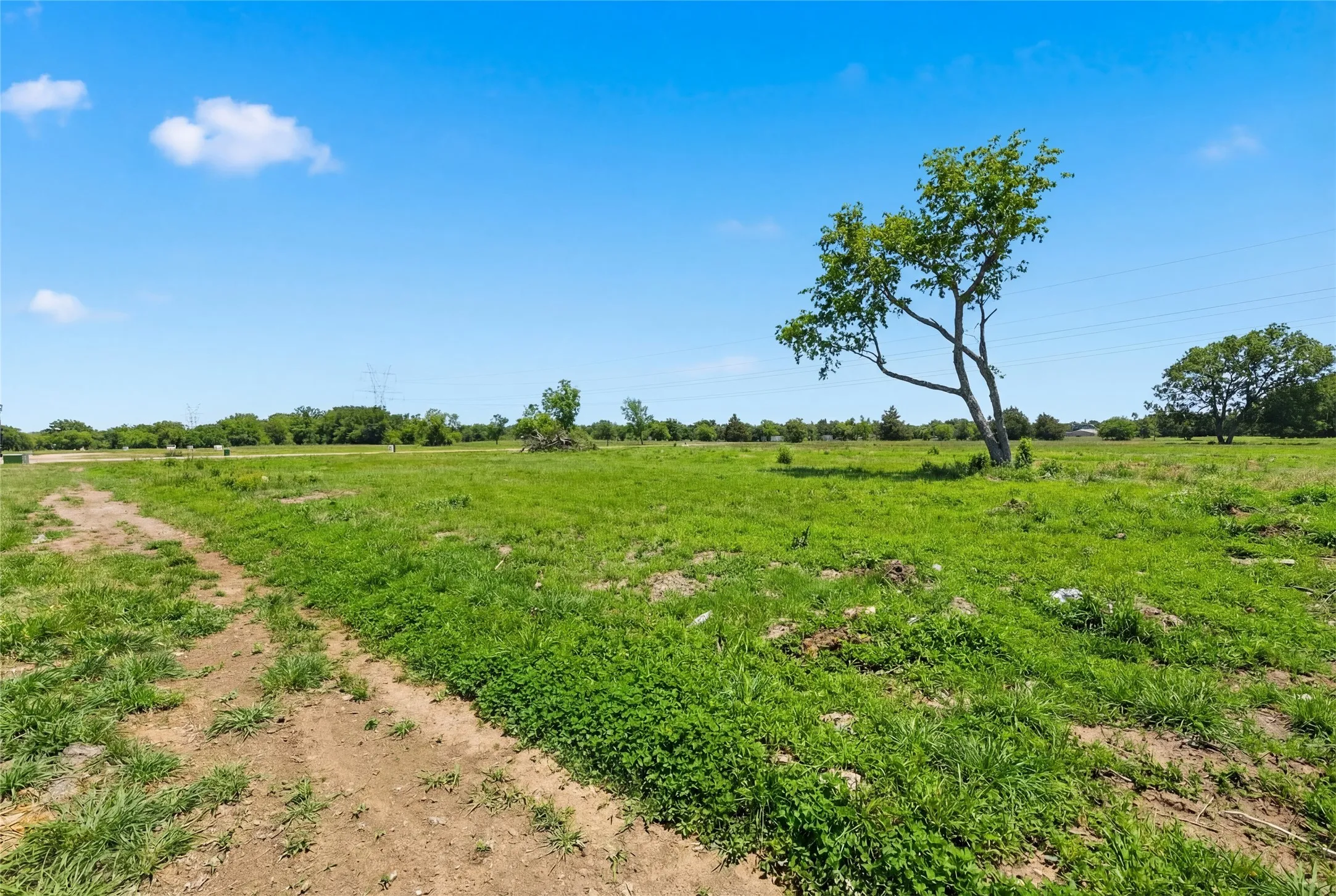 This is a photograph of Lot 2 Block H and was captured in February. It has been digitally enhanced to emphasize the presence of leaves and grass.