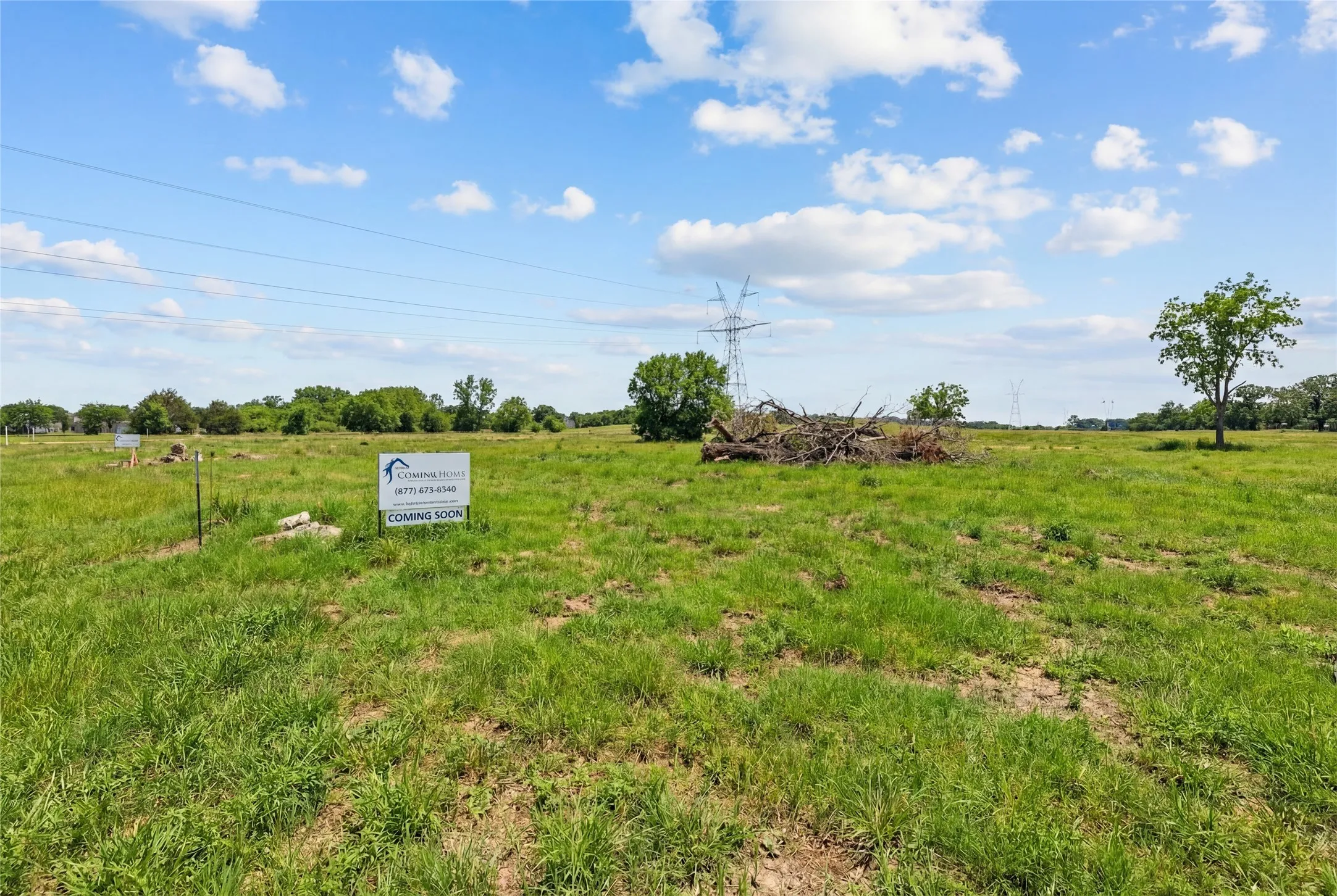This is a photograph of Lot 2 Block H and was captured in February. It has been digitally enhanced to emphasize the presence of leaves and grass.