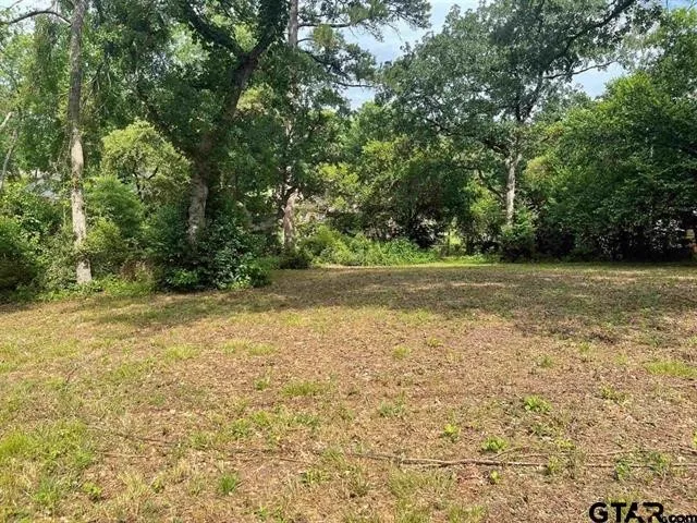 Unimproved Land For Sale in Smith County , 309 Harmony Lane, Hideaway, Texas 75771, 0, 0, Garage spaces, 0 Sqft, built in 0, mls#21168256, Real Estate Agent in Hideaway, Homes For Sale in Smith county, Homes For Sale in Hideaway, Realtor in Hideaway Texas, Real Estate Brokerage Independent Realty Texas, Luminita Cordes Realtor