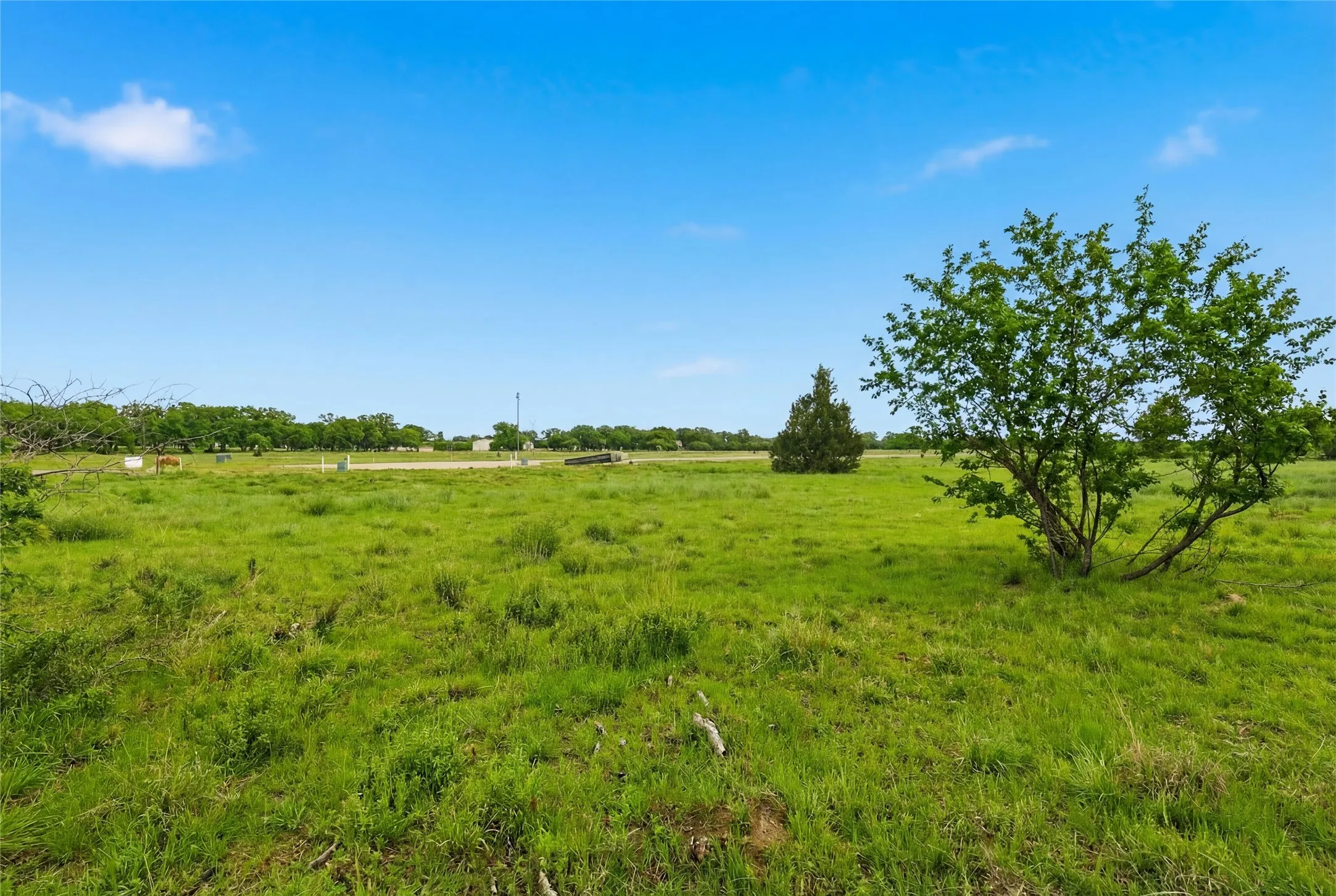 This is a photograph of Lot 8 Block H and was captured in February. It has been digitally enhanced to emphasize the presence of leaves and grass.