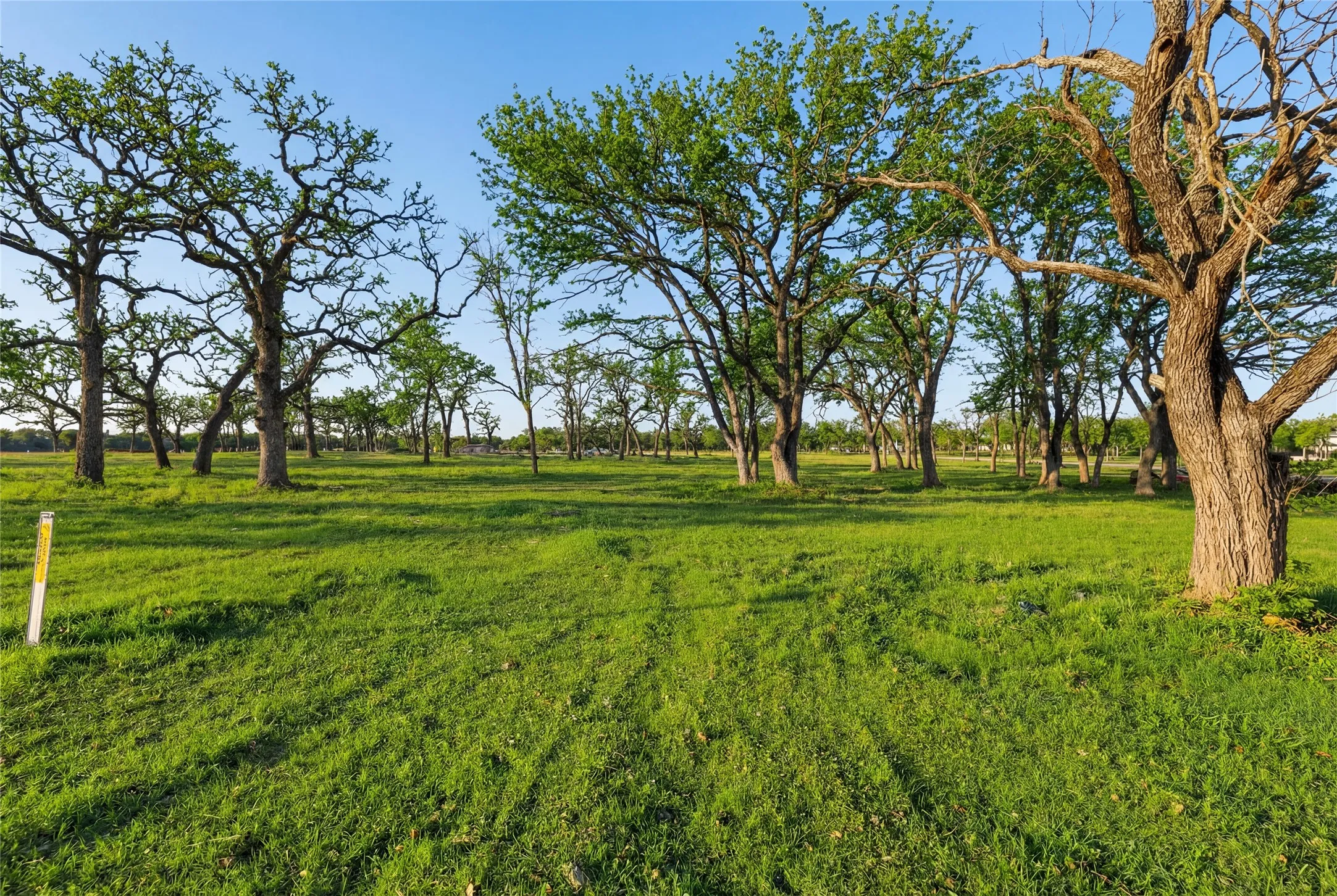 This is a photograph of Lot 6 Block J and was captured in February. It has been digitally enhanced to emphasize the presence of leaves and grass.