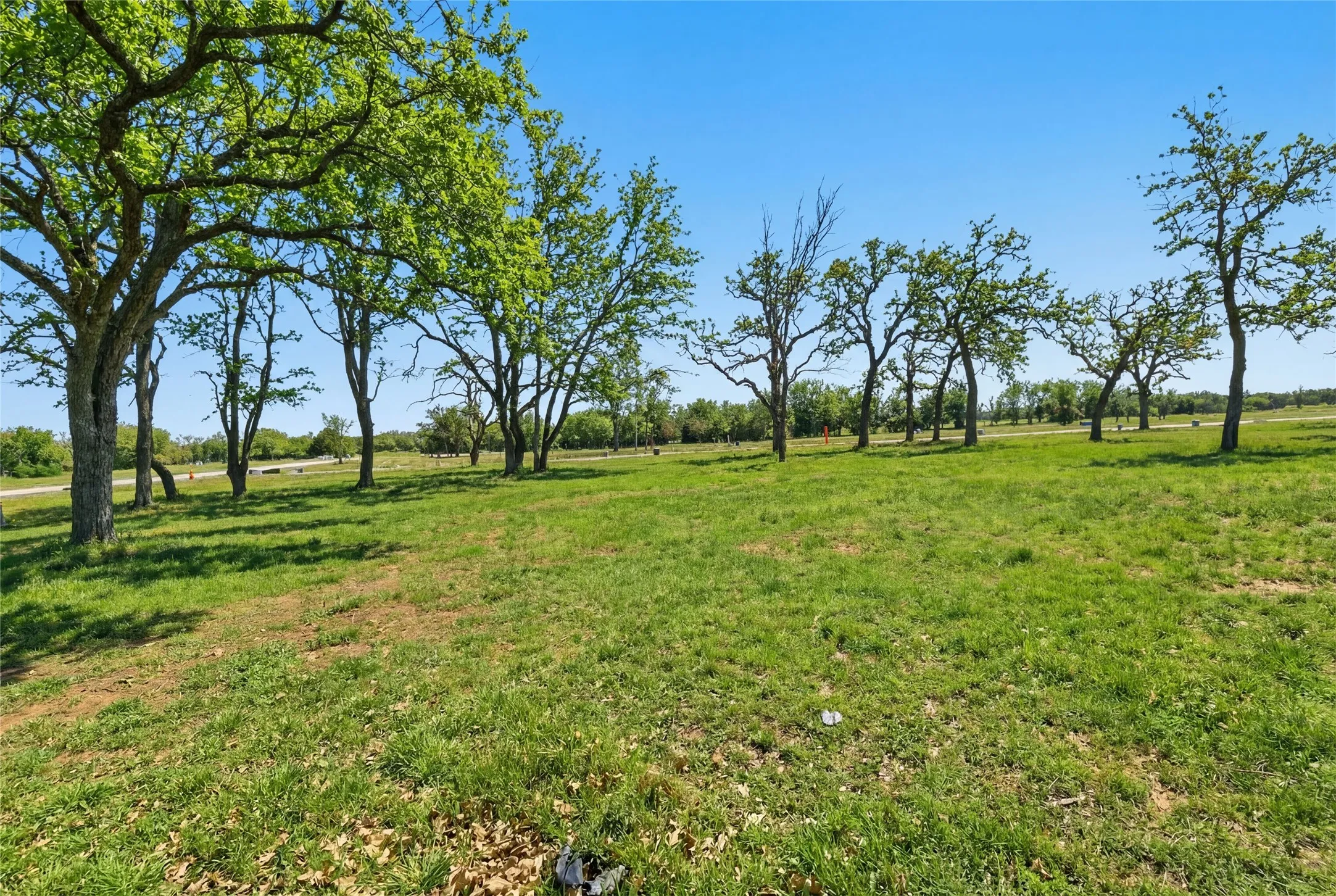 This is a photograph of Lot 6 Block J and was captured in February. It has been digitally enhanced to emphasize the presence of leaves and​​‌​​​​‌​​‌‌​‌‌​​​‌‌​‌​‌​‌​​​‌​​ grass.