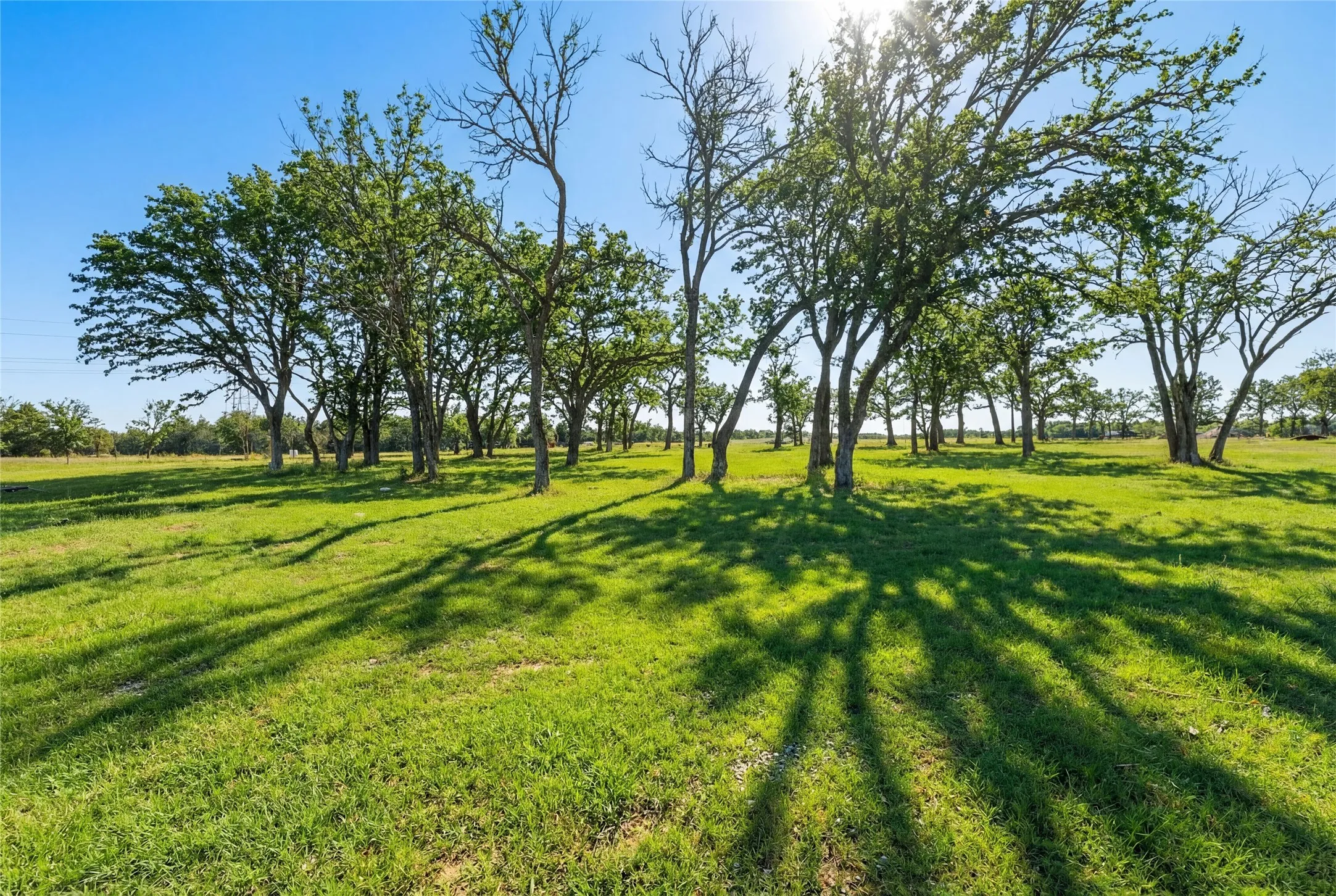 This is a photograph of Lot 6 Block J and was captured in February. It has been digitally enhanced to emphasize the presence of leaves and grass.