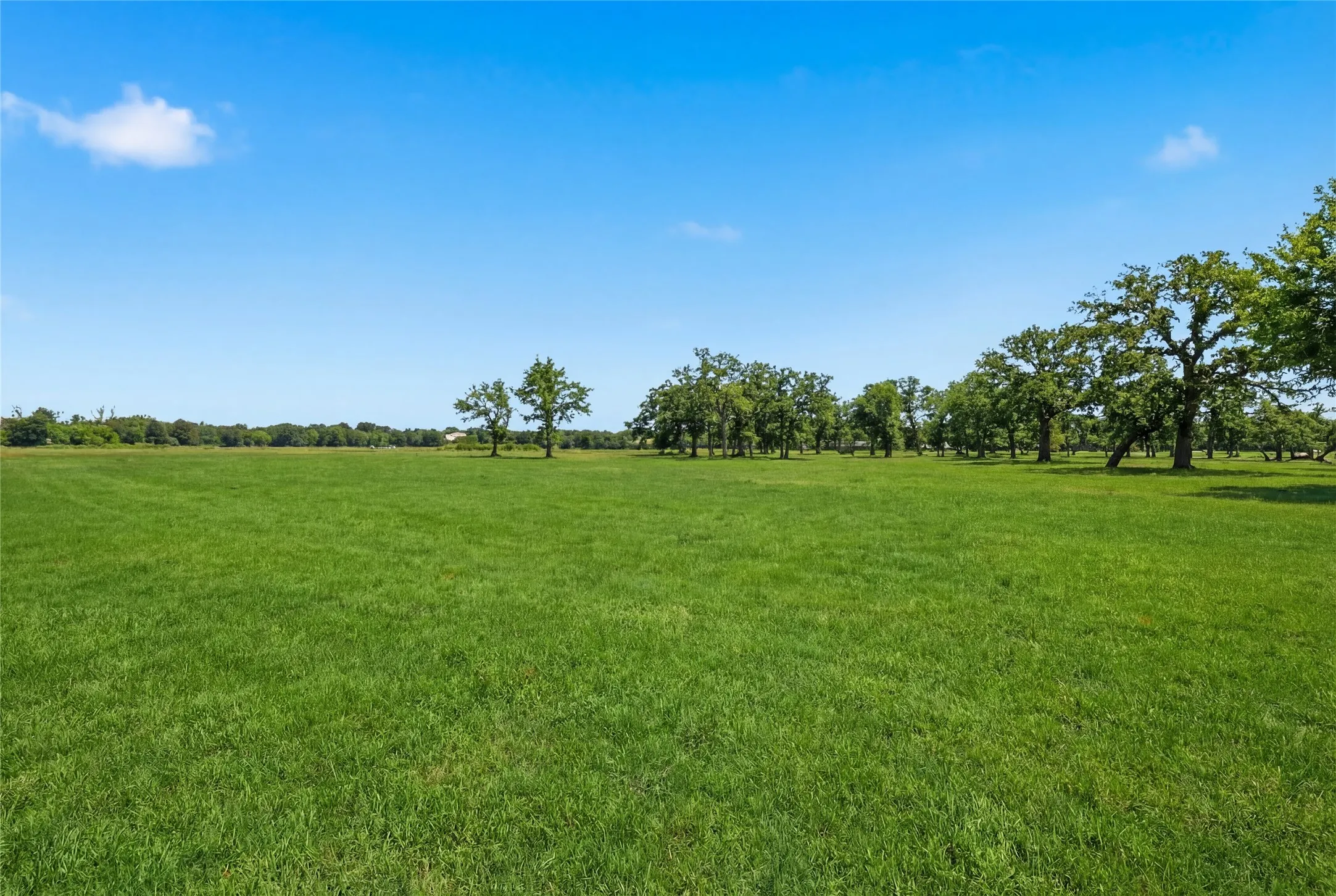 This is a photograph of Lot 8 Block J and was captured in February. It has been digitally enhanced to emphasize the presence of leaves and​​‌​​​​‌​​‌‌​‌‌​​​‌‌​‌​‌​‌​​​‌​​ grass.