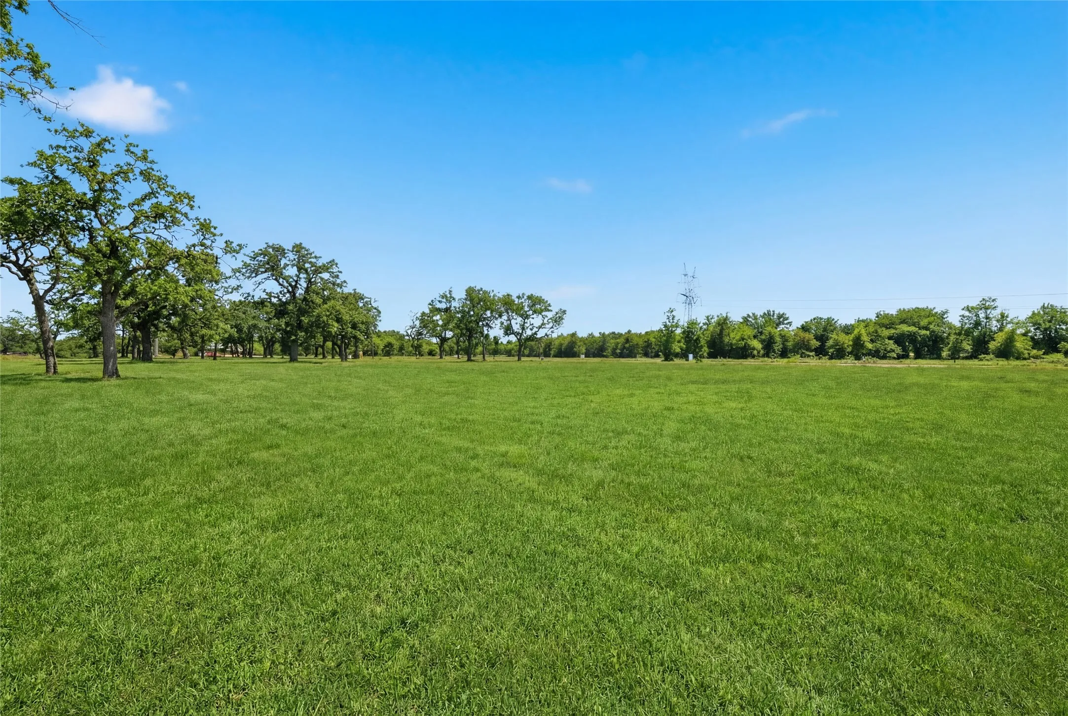 This is a photograph of Lot 8 Block J and was captured in February. It has been digitally enhanced to emphasize the presence of leaves and grass.