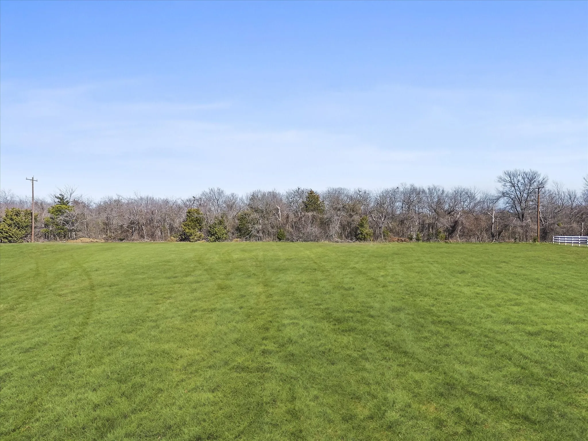 View of grassy yard
