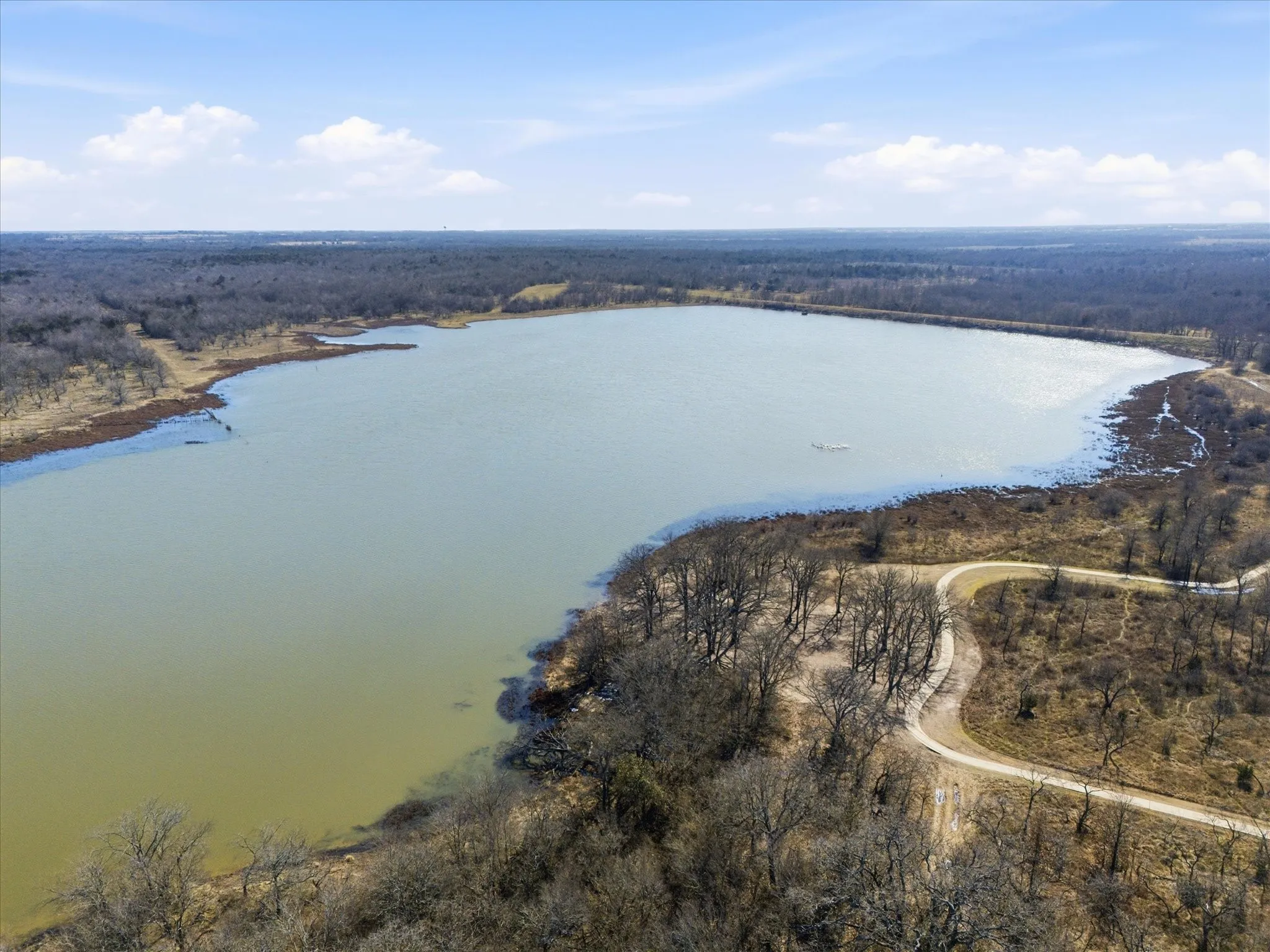 Bird's eye view of a large body of water and a forest