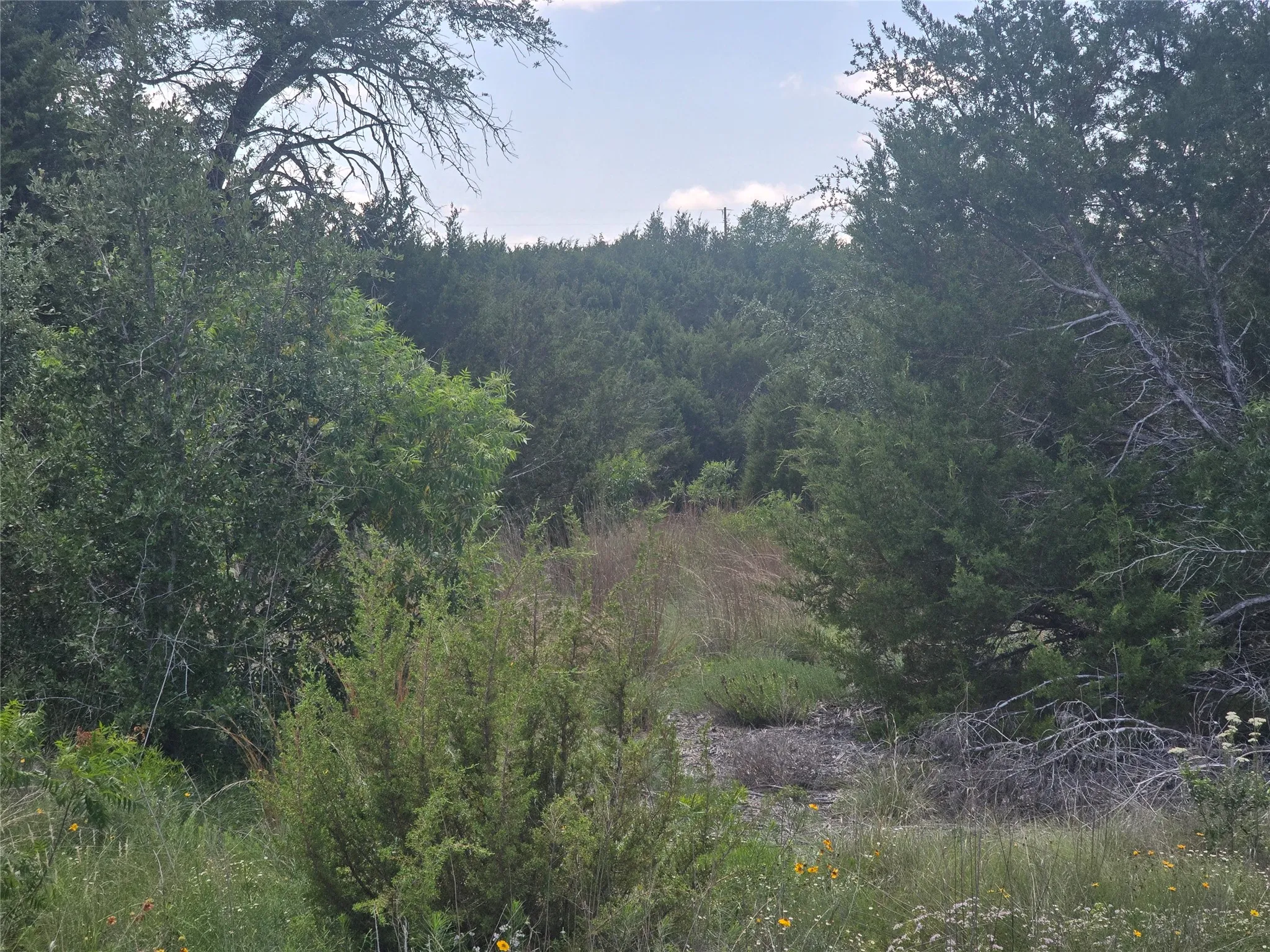 Unimproved Land For Sale in Erath County , 122 Mesa Vista Drive, Stephenville, Texas 76401, 0, 0, Garage spaces, 0 Sqft, built in 0, mls#21168550, Real Estate Agent in Stephenville, Homes For Sale in Erath county, Homes For Sale in Stephenville, Realtor in Stephenville Texas, Real Estate Brokerage Independent Realty Texas, Luminita Cordes Realtor
