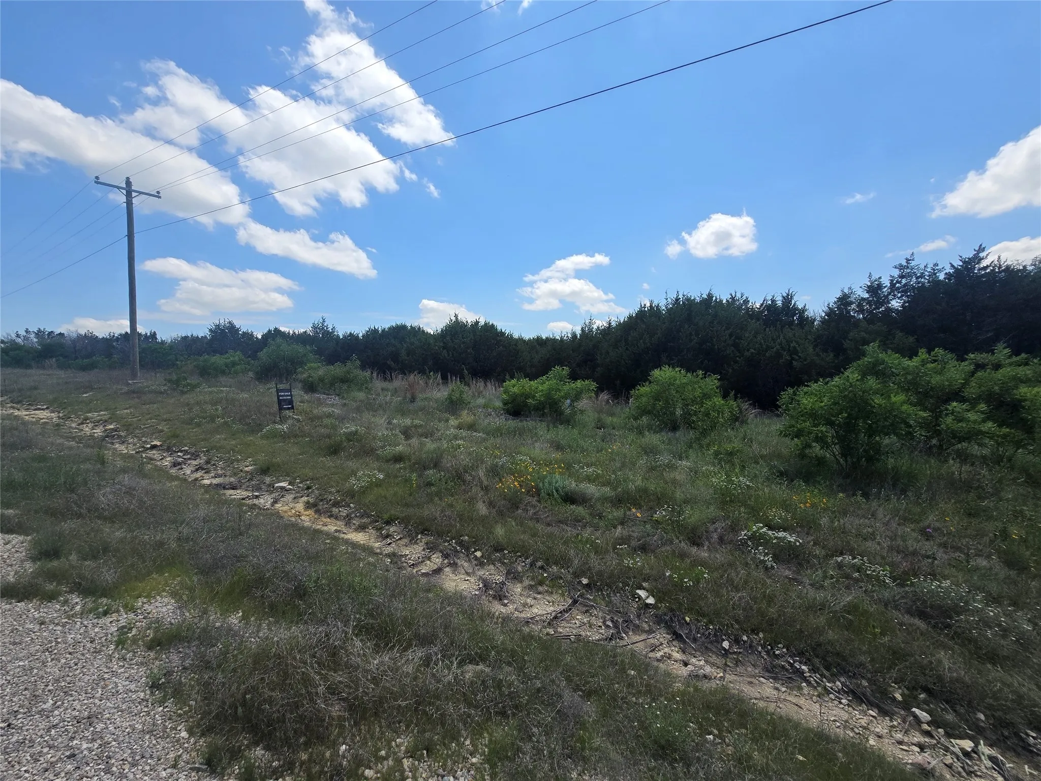 Unimproved Land For Sale in Erath County , 122 Mesa Vista Drive, Stephenville, Texas 76401, 0, 0, Garage spaces, 0 Sqft, built in 0, mls#21168550, Real Estate Agent in Stephenville, Homes For Sale in Erath county, Homes For Sale in Stephenville, Realtor in Stephenville Texas, Real Estate Brokerage Independent Realty Texas, Luminita Cordes Realtor