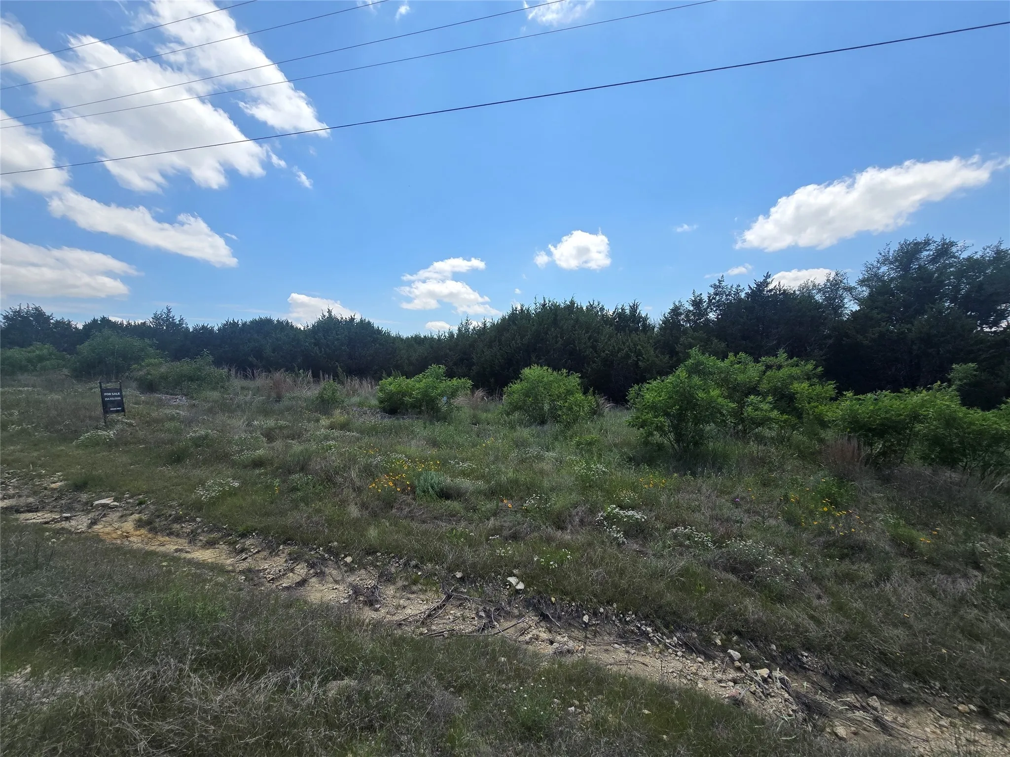 Unimproved Land For Sale in Erath County , 122 Mesa Vista Drive, Stephenville, Texas 76401, 0, 0, Garage spaces, 0 Sqft, built in 0, mls#21168550, Real Estate Agent in Stephenville, Homes For Sale in Erath county, Homes For Sale in Stephenville, Realtor in Stephenville Texas, Real Estate Brokerage Independent Realty Texas, Luminita Cordes Realtor
