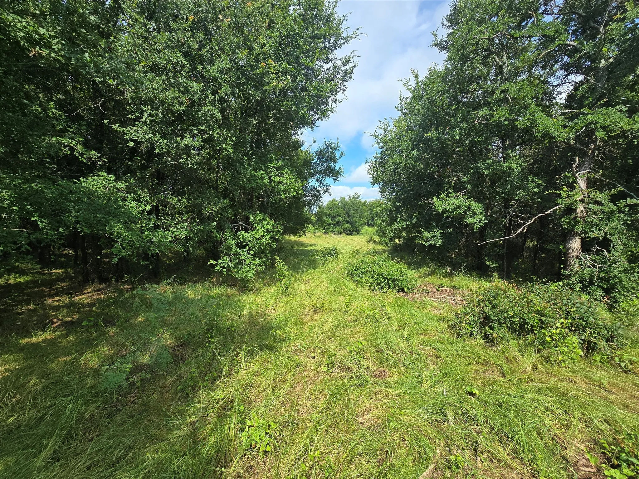 Ranch For Sale in Palo Pinto County , 30 Oasis Ct Court, Perrin, Texas 76449, 0, 0, Garage spaces, 0 Sqft, built in 0, mls#21166791, Real Estate Agent in Perrin, Homes For Sale in Palo Pinto county, Homes For Sale in Perrin, Realtor in Perrin Texas, Real Estate Brokerage Independent Realty Texas, Luminita Cordes Realtor