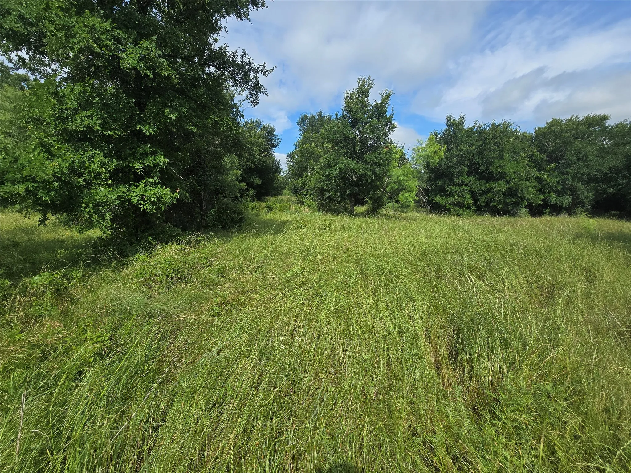 Ranch For Sale in Palo Pinto County , 30 Oasis Ct Court, Perrin, Texas 76449, 0, 0, Garage spaces, 0 Sqft, built in 0, mls#21166791, Real Estate Agent in Perrin, Homes For Sale in Palo Pinto county, Homes For Sale in Perrin, Realtor in Perrin Texas, Real Estate Brokerage Independent Realty Texas, Luminita Cordes Realtor