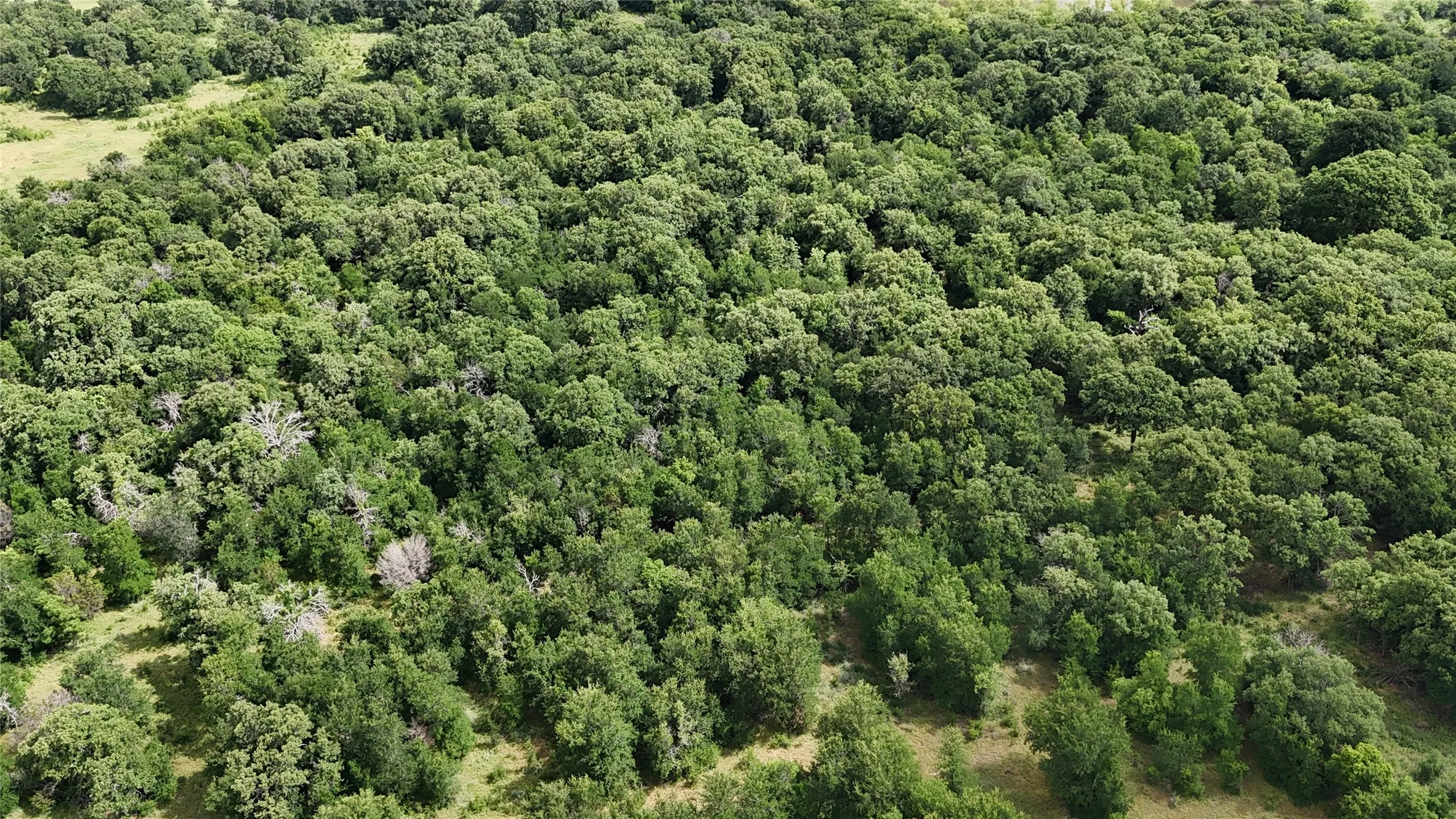 Ranch For Sale in Palo Pinto County , 30 Oasis Ct Court, Perrin, Texas 76449, 0, 0, Garage spaces, 0 Sqft, built in 0, mls#21166791, Real Estate Agent in Perrin, Homes For Sale in Palo Pinto county, Homes For Sale in Perrin, Realtor in Perrin Texas, Real Estate Brokerage Independent Realty Texas, Luminita Cordes Realtor