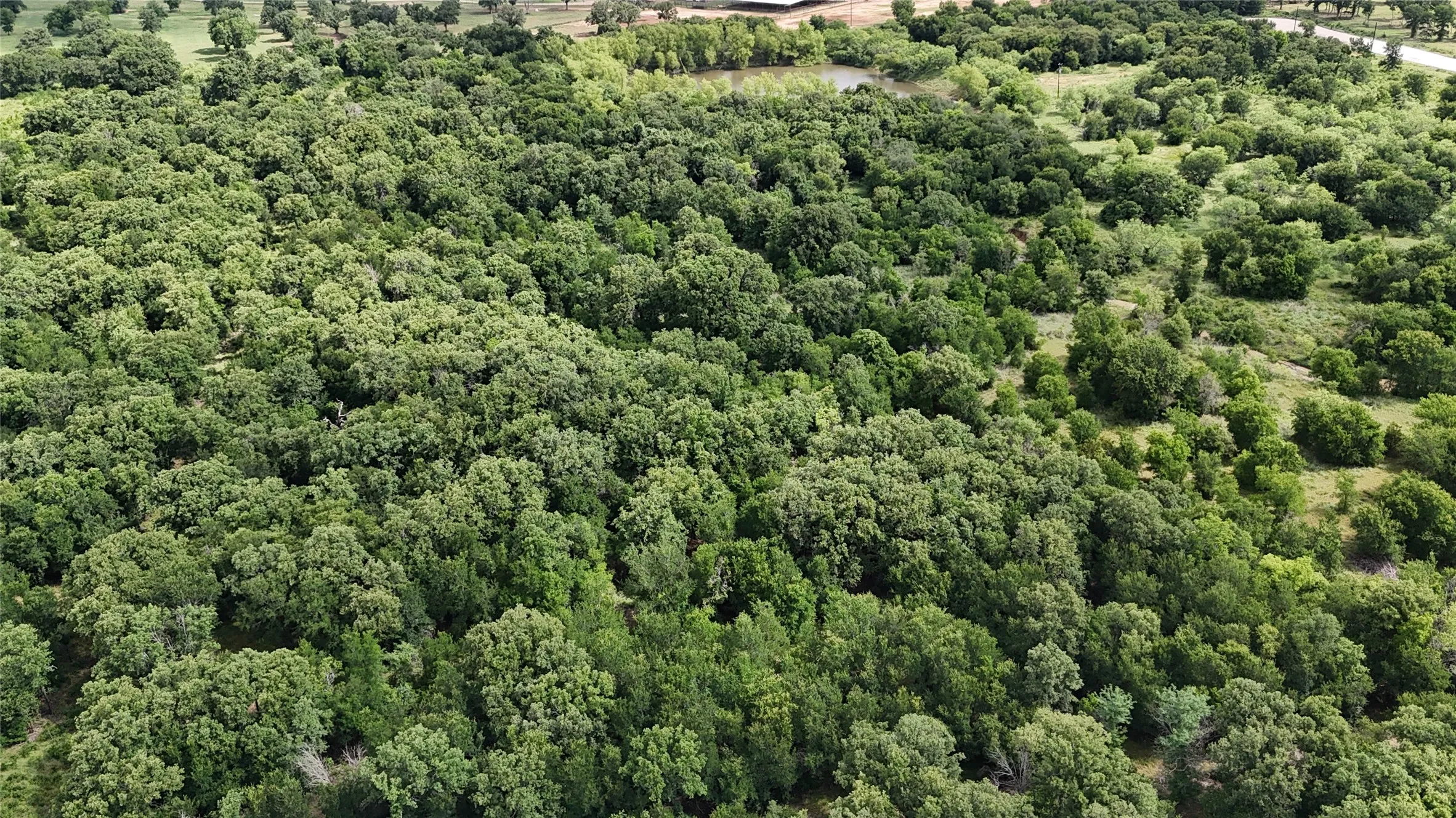 Ranch For Sale in Palo Pinto County , 30 Oasis Ct Court, Perrin, Texas 76449, 0, 0, Garage spaces, 0 Sqft, built in 0, mls#21166791, Real Estate Agent in Perrin, Homes For Sale in Palo Pinto county, Homes For Sale in Perrin, Realtor in Perrin Texas, Real Estate Brokerage Independent Realty Texas, Luminita Cordes Realtor