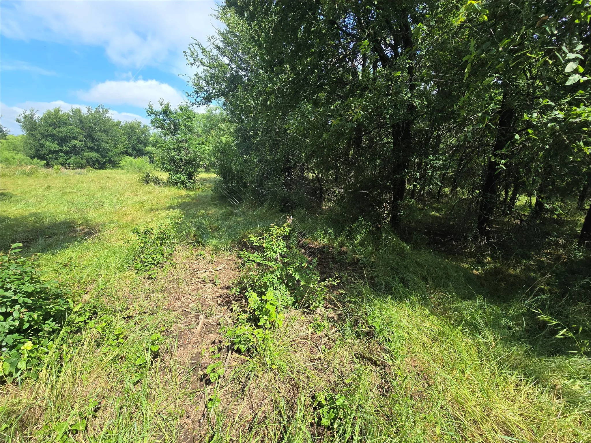 Ranch For Sale in Palo Pinto County , 30 Oasis Ct Court, Perrin, Texas 76449, 0, 0, Garage spaces, 0 Sqft, built in 0, mls#21166791, Real Estate Agent in Perrin, Homes For Sale in Palo Pinto county, Homes For Sale in Perrin, Realtor in Perrin Texas, Real Estate Brokerage Independent Realty Texas, Luminita Cordes Realtor
