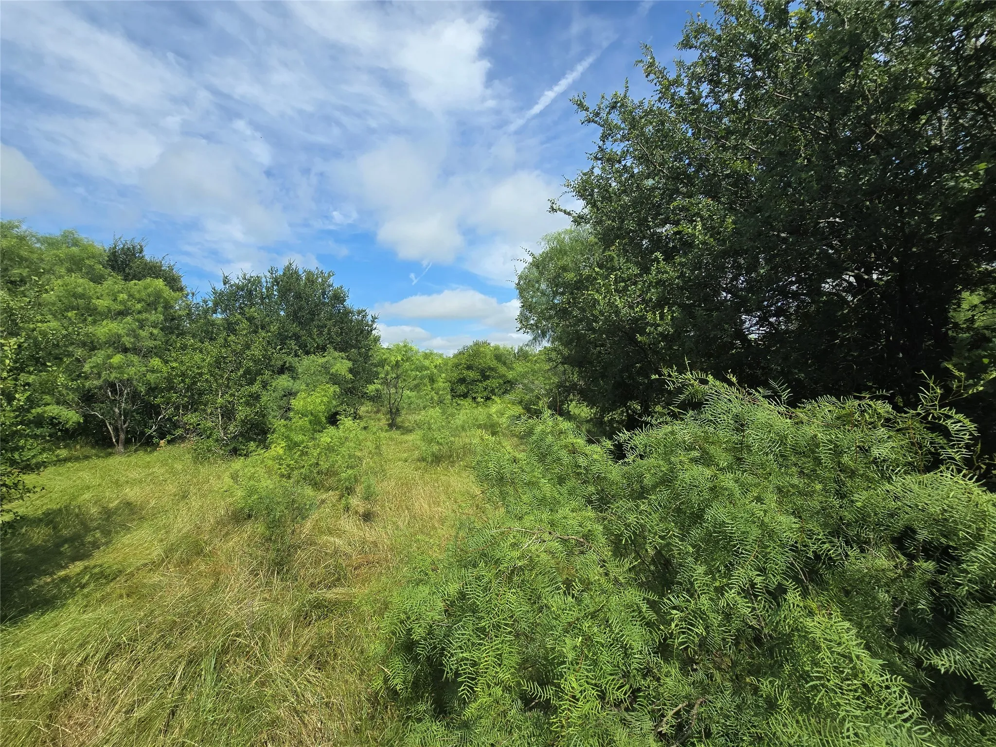 Ranch For Sale in Palo Pinto County , 30 Oasis Ct Court, Perrin, Texas 76449, 0, 0, Garage spaces, 0 Sqft, built in 0, mls#21166791, Real Estate Agent in Perrin, Homes For Sale in Palo Pinto county, Homes For Sale in Perrin, Realtor in Perrin Texas, Real Estate Brokerage Independent Realty Texas, Luminita Cordes Realtor