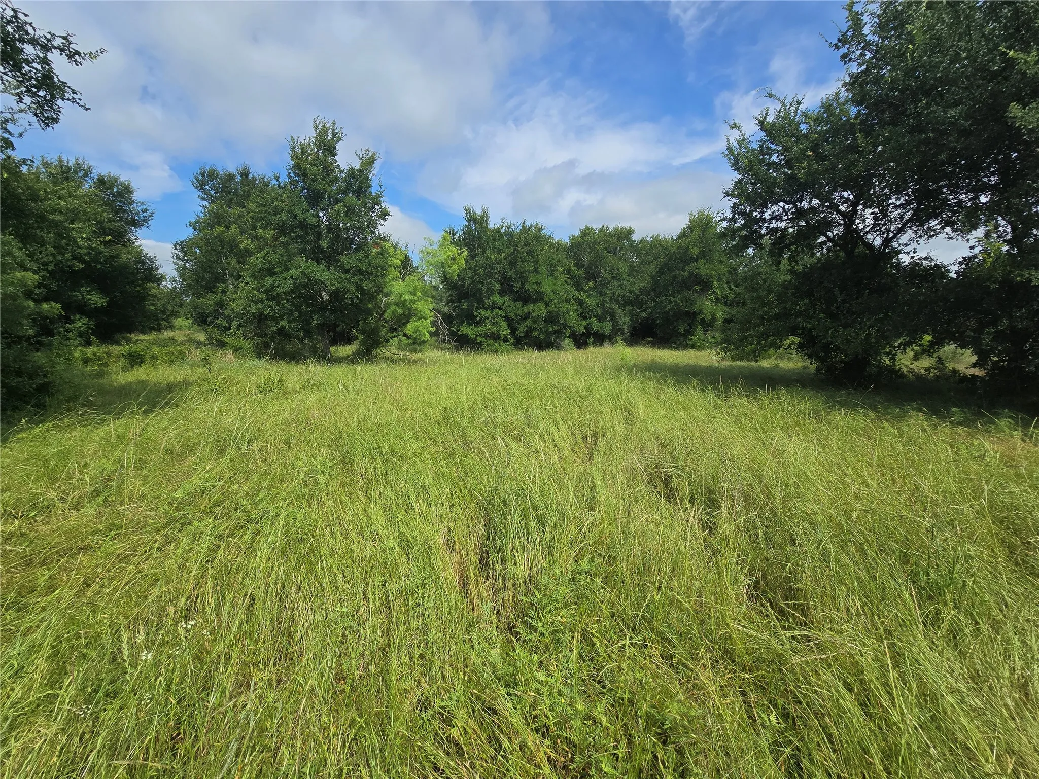 Ranch For Sale in Palo Pinto County , 30 Oasis Ct Court, Perrin, Texas 76449, 0, 0, Garage spaces, 0 Sqft, built in 0, mls#21166791, Real Estate Agent in Perrin, Homes For Sale in Palo Pinto county, Homes For Sale in Perrin, Realtor in Perrin Texas, Real Estate Brokerage Independent Realty Texas, Luminita Cordes Realtor