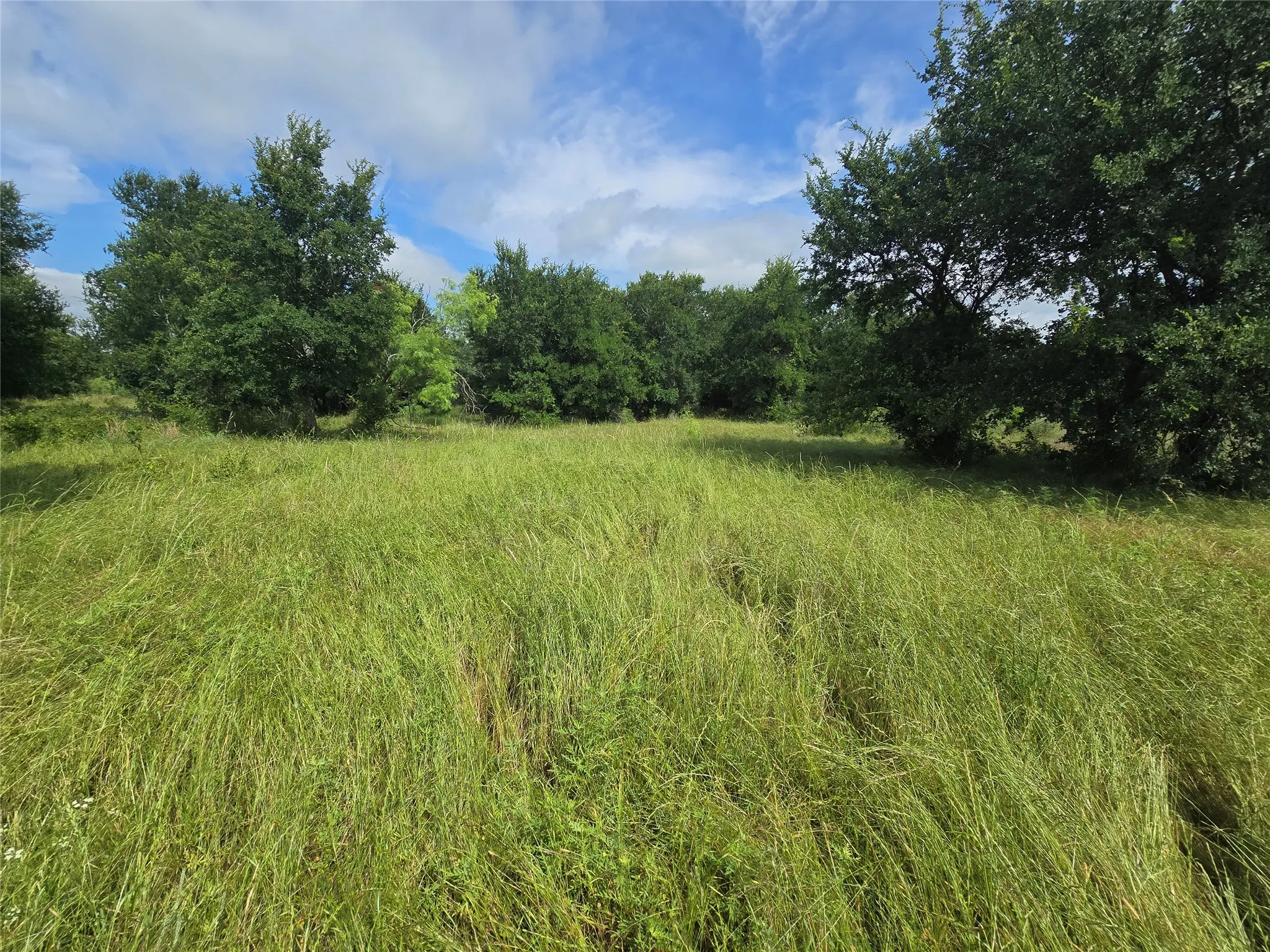 Ranch For Sale in Palo Pinto County , 30 Oasis Ct Court, Perrin, Texas 76449, 0, 0, Garage spaces, 0 Sqft, built in 0, mls#21166791, Real Estate Agent in Perrin, Homes For Sale in Palo Pinto county, Homes For Sale in Perrin, Realtor in Perrin Texas, Real Estate Brokerage Independent Realty Texas, Luminita Cordes Realtor