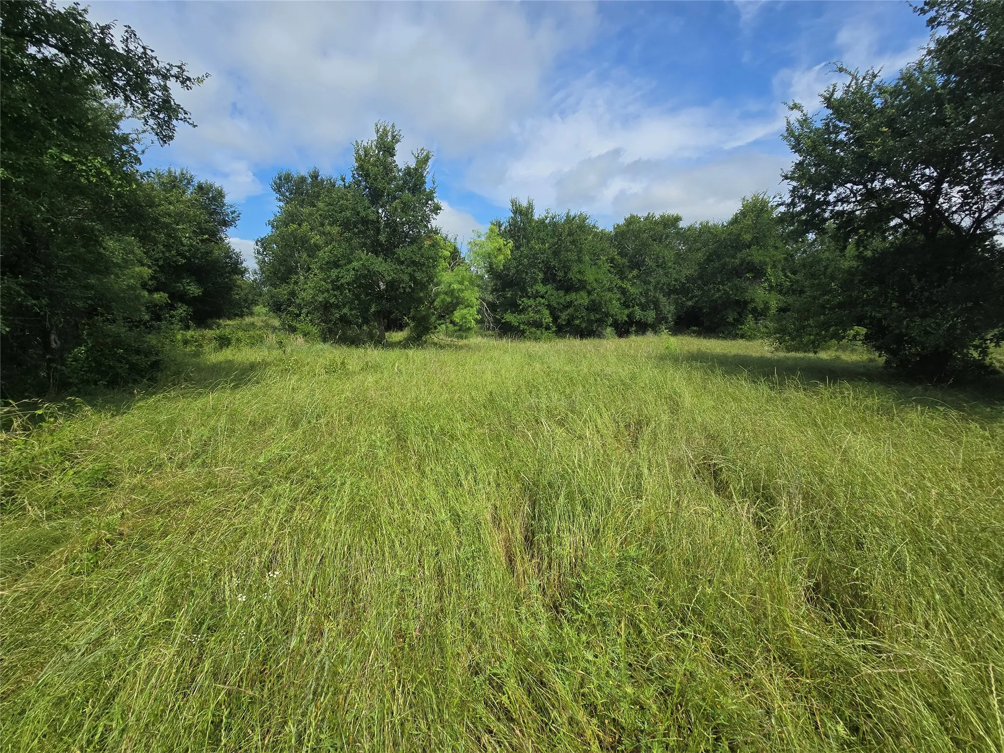 Ranch For Sale in Palo Pinto County , 30 Oasis Ct Court, Perrin, Texas 76449, 0, 0, Garage spaces, 0 Sqft, built in 0, mls#21166791, Real Estate Agent in Perrin, Homes For Sale in Palo Pinto county, Homes For Sale in Perrin, Realtor in Perrin Texas, Real Estate Brokerage Independent Realty Texas, Luminita Cordes Realtor