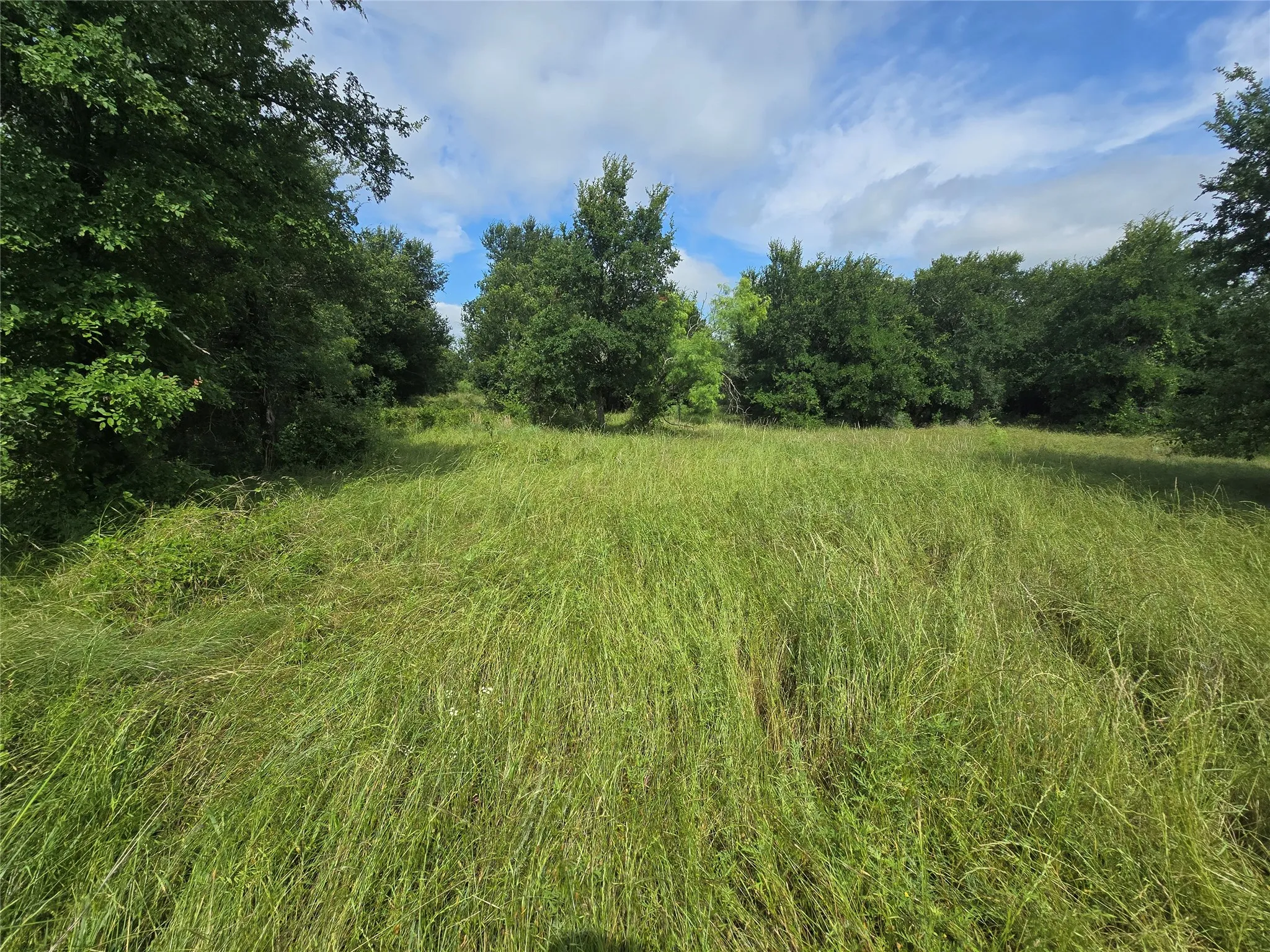 Ranch For Sale in Palo Pinto County , 30 Oasis Ct Court, Perrin, Texas 76449, 0, 0, Garage spaces, 0 Sqft, built in 0, mls#21166791, Real Estate Agent in Perrin, Homes For Sale in Palo Pinto county, Homes For Sale in Perrin, Realtor in Perrin Texas, Real Estate Brokerage Independent Realty Texas, Luminita Cordes Realtor