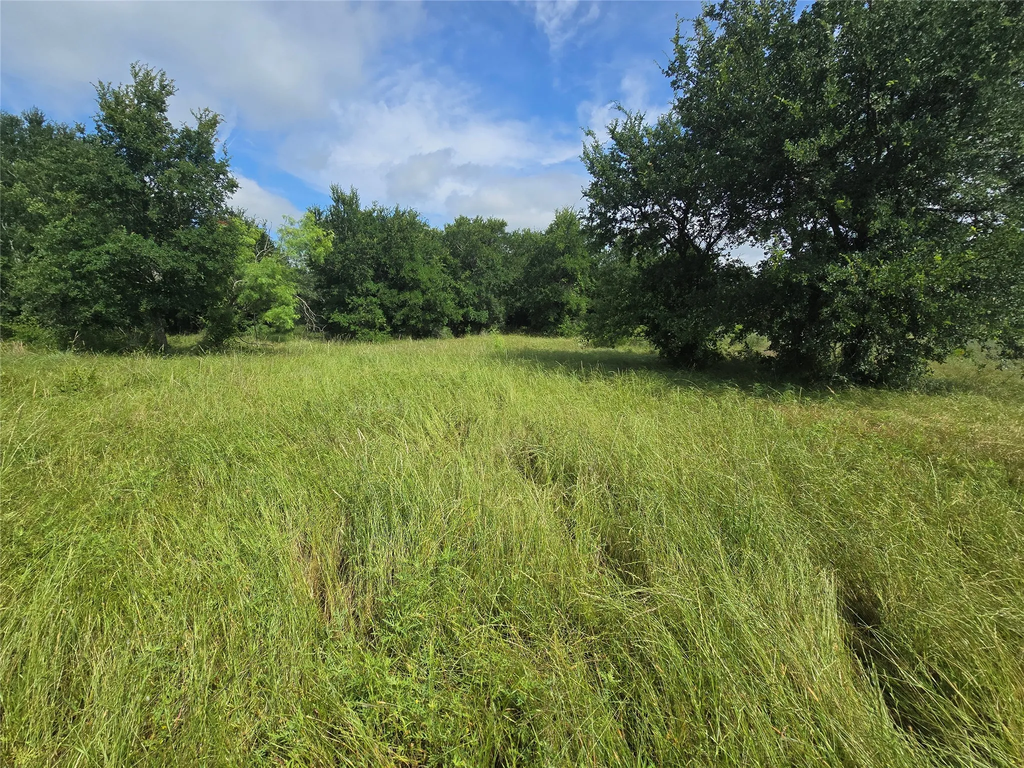 Ranch For Sale in Palo Pinto County , 30 Oasis Ct Court, Perrin, Texas 76449, 0, 0, Garage spaces, 0 Sqft, built in 0, mls#21166791, Real Estate Agent in Perrin, Homes For Sale in Palo Pinto county, Homes For Sale in Perrin, Realtor in Perrin Texas, Real Estate Brokerage Independent Realty Texas, Luminita Cordes Realtor