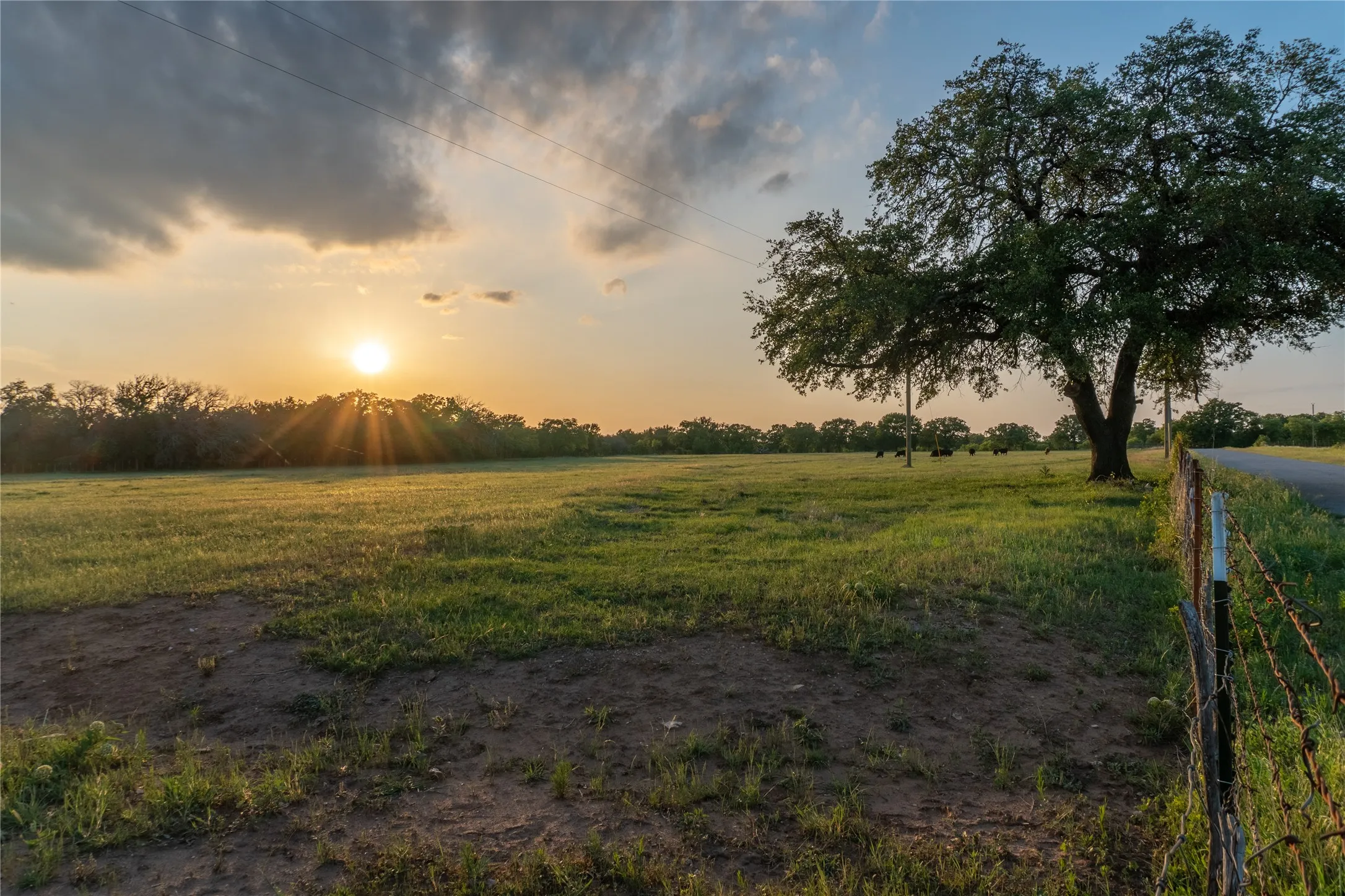 Unimproved Land For Sale in Hood County , 4750 Coleman Ranch Road, Tolar, Texas 76476, 0, 0, Garage spaces, 0 Sqft, built in 0, mls#21168572, Real Estate Agent in Tolar, Homes For Sale in Hood county, Homes For Sale in Tolar, Realtor in Tolar Texas, Real Estate Brokerage Independent Realty Texas, Luminita Cordes Realtor