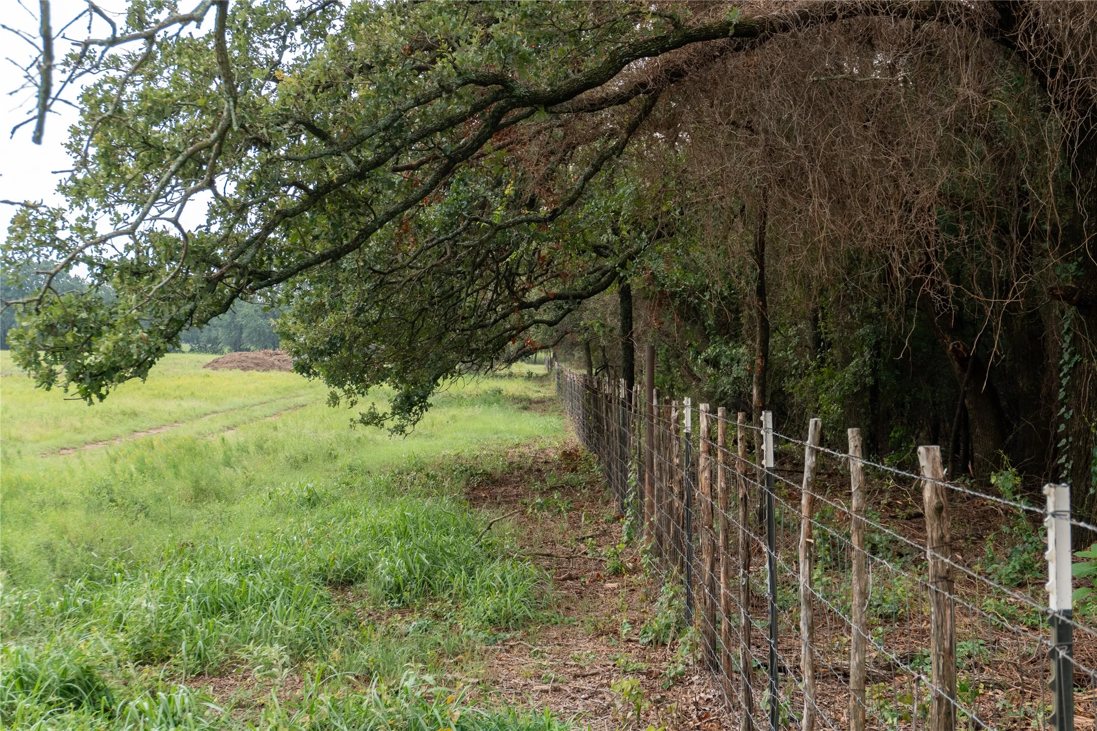 Unimproved Land For Sale in Hood County , 4750 Coleman Ranch Road, Tolar, Texas 76476, 0, 0, Garage spaces, 0 Sqft, built in 0, mls#21168572, Real Estate Agent in Tolar, Homes For Sale in Hood county, Homes For Sale in Tolar, Realtor in Tolar Texas, Real Estate Brokerage Independent Realty Texas, Luminita Cordes Realtor