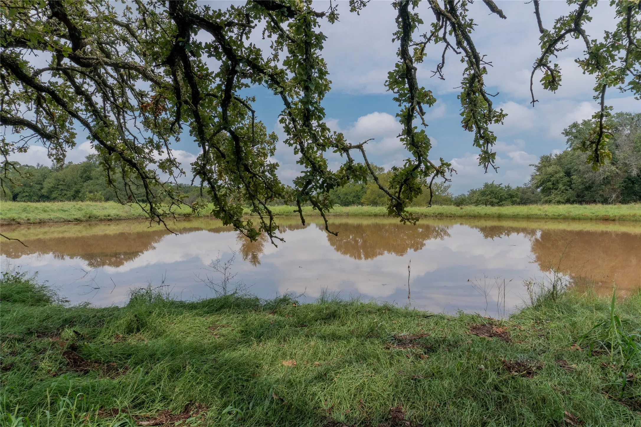 Unimproved Land For Sale in Hood County , 4750 Coleman Ranch Road, Tolar, Texas 76476, 0, 0, Garage spaces, 0 Sqft, built in 0, mls#21168572, Real Estate Agent in Tolar, Homes For Sale in Hood county, Homes For Sale in Tolar, Realtor in Tolar Texas, Real Estate Brokerage Independent Realty Texas, Luminita Cordes Realtor
