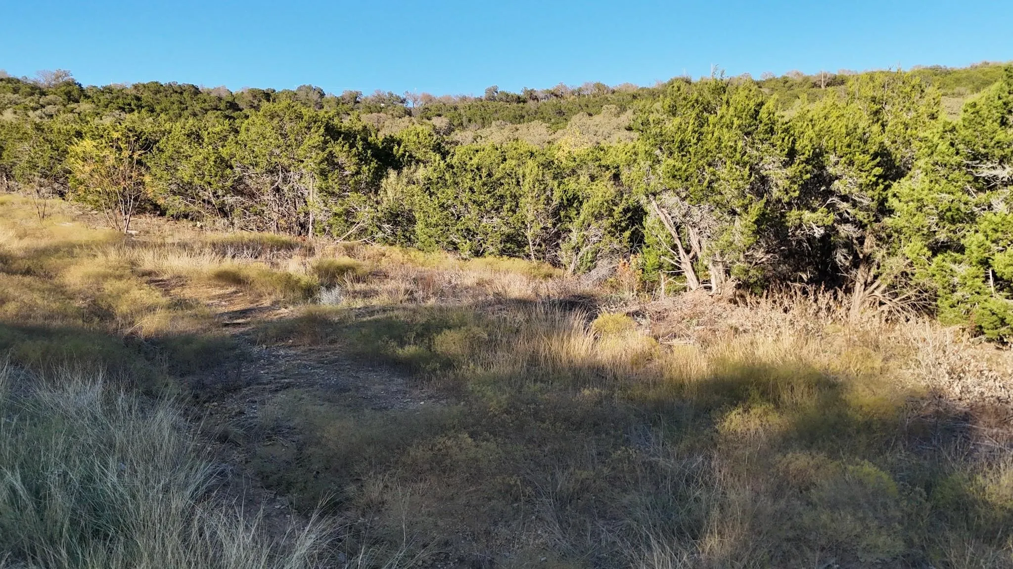 Unimproved Land For Sale in Palo Pinto County , LOT 187 WOODED ACRES Drive, Mineral Wells, Texas 76067, 0, 0, Garage spaces, 0 Sqft, built in 0, mls#21168597, Real Estate Agent in Mineral Wells, Homes For Sale in Palo Pinto county, Homes For Sale in Mineral Wells, Realtor in Mineral Wells Texas, Real Estate Brokerage Independent Realty Texas, Luminita Cordes Realtor