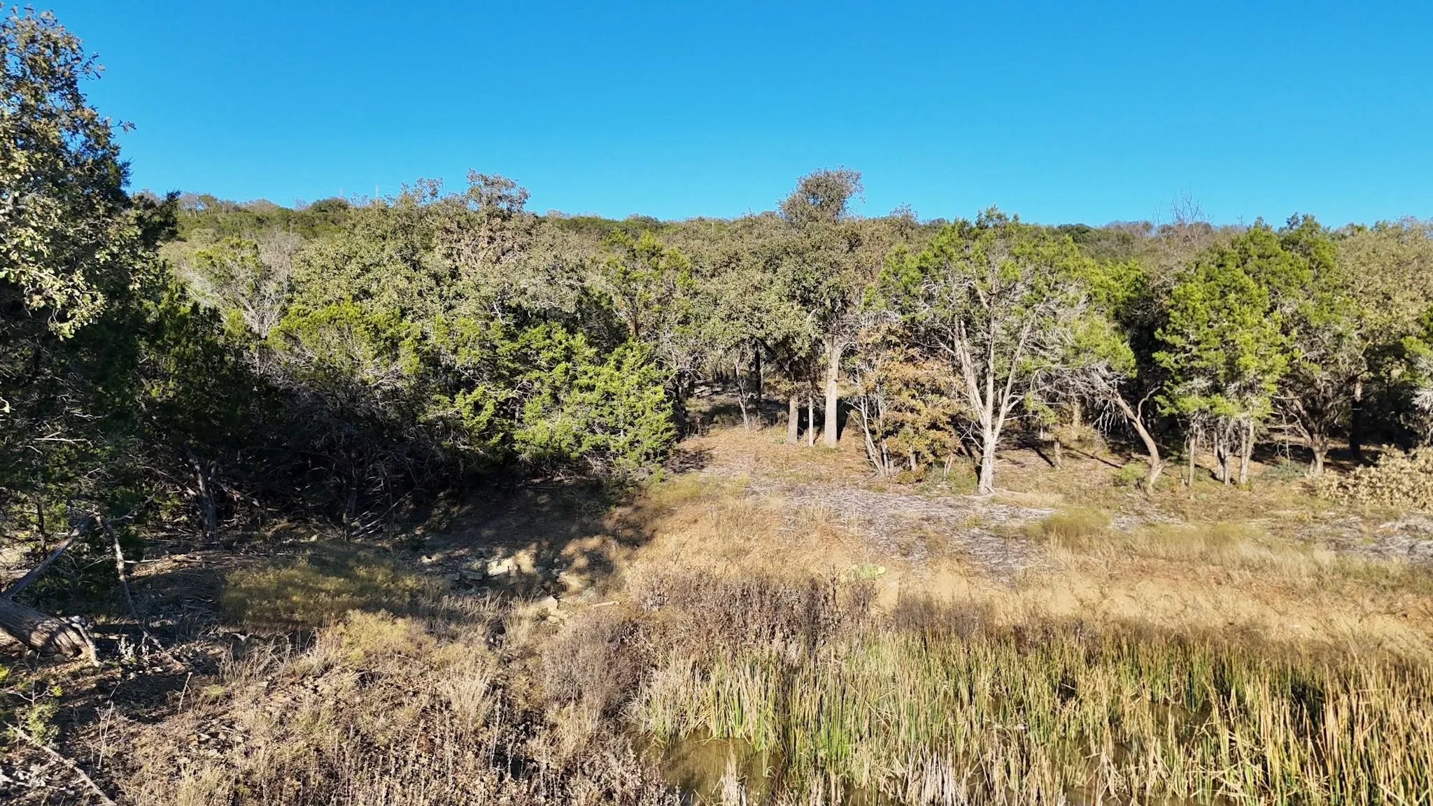 Unimproved Land For Sale in Palo Pinto County , LOT 187 WOODED ACRES Drive, Mineral Wells, Texas 76067, 0, 0, Garage spaces, 0 Sqft, built in 0, mls#21168597, Real Estate Agent in Mineral Wells, Homes For Sale in Palo Pinto county, Homes For Sale in Mineral Wells, Realtor in Mineral Wells Texas, Real Estate Brokerage Independent Realty Texas, Luminita Cordes Realtor