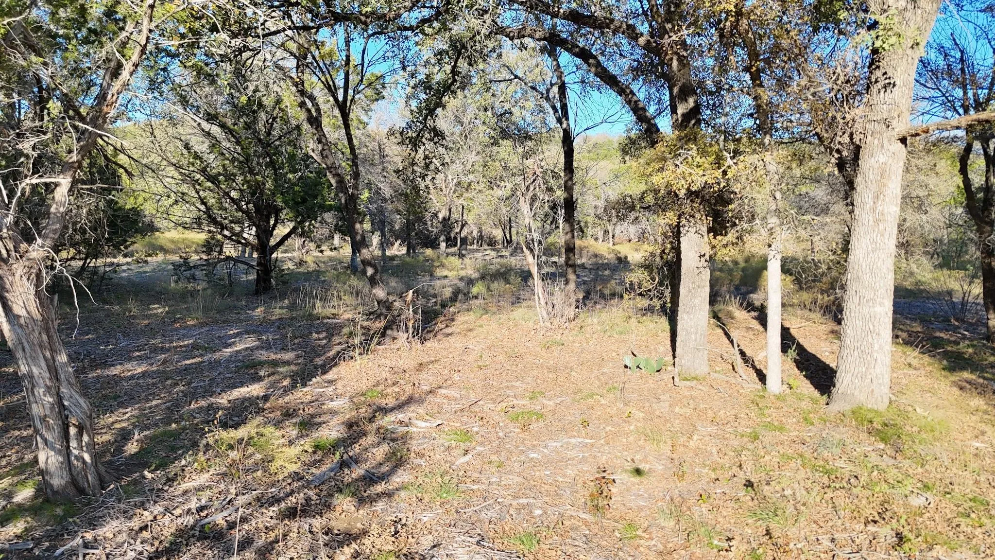 Unimproved Land For Sale in Palo Pinto County , LOT 187 WOODED ACRES Drive, Mineral Wells, Texas 76067, 0, 0, Garage spaces, 0 Sqft, built in 0, mls#21168597, Real Estate Agent in Mineral Wells, Homes For Sale in Palo Pinto county, Homes For Sale in Mineral Wells, Realtor in Mineral Wells Texas, Real Estate Brokerage Independent Realty Texas, Luminita Cordes Realtor