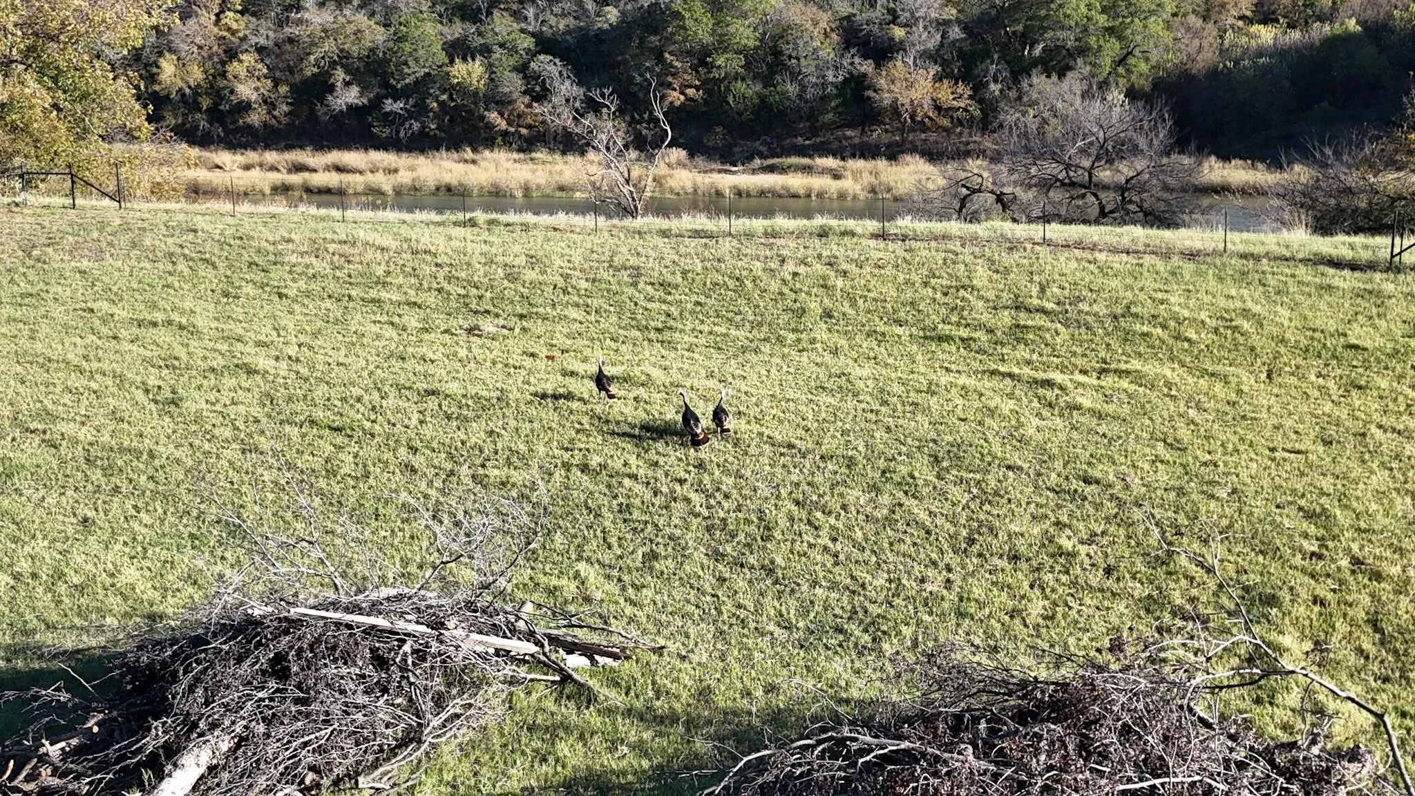 Unimproved Land For Sale in Palo Pinto County , LOT 187 WOODED ACRES Drive, Mineral Wells, Texas 76067, 0, 0, Garage spaces, 0 Sqft, built in 0, mls#21168597, Real Estate Agent in Mineral Wells, Homes For Sale in Palo Pinto county, Homes For Sale in Mineral Wells, Realtor in Mineral Wells Texas, Real Estate Brokerage Independent Realty Texas, Luminita Cordes Realtor