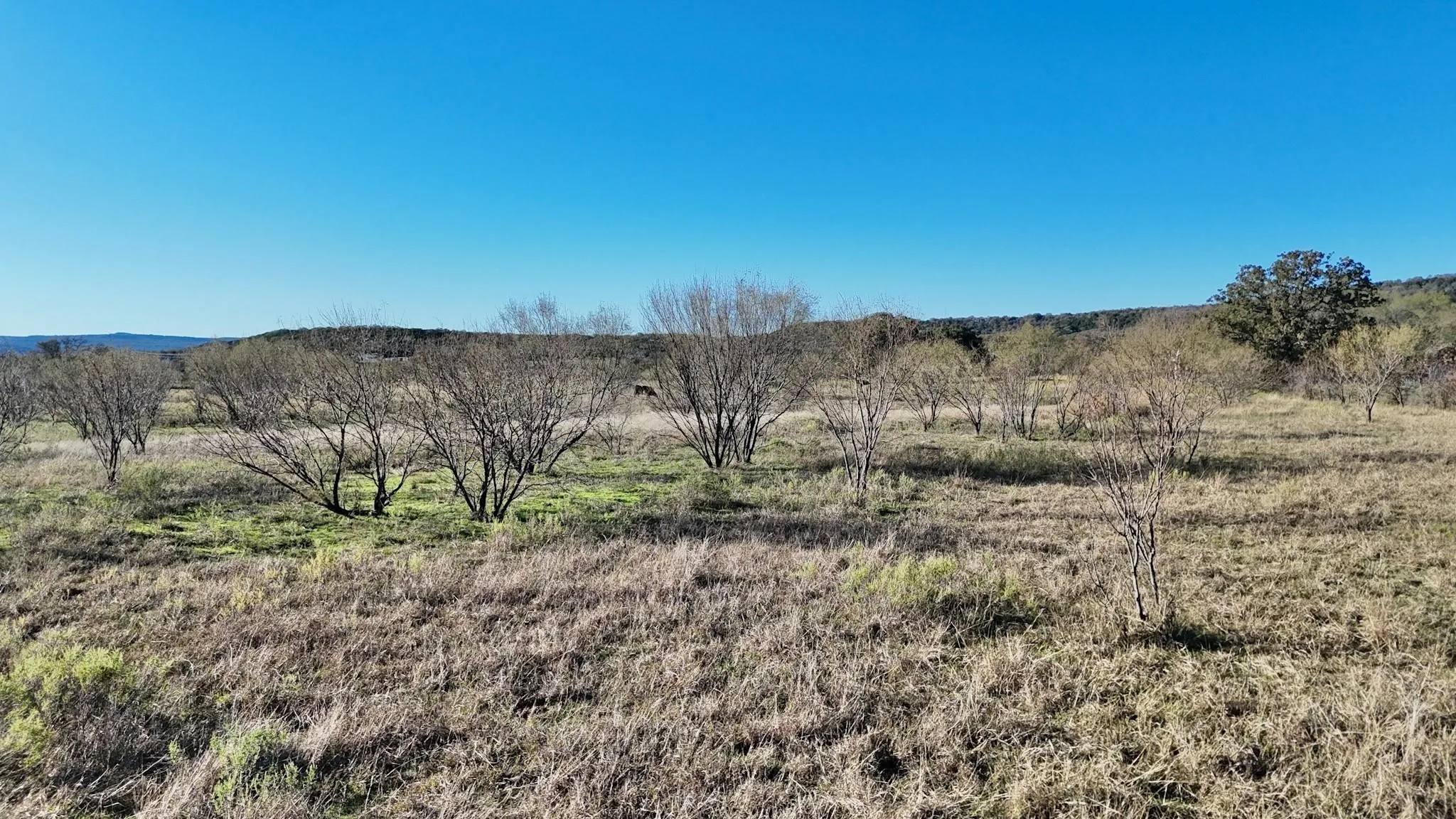 Unimproved Land For Sale in Palo Pinto County , LOT 23 BRAZOS VALLEY Lane, Mineral Wells, Texas 76068, 0, 0, Garage spaces, 0 Sqft, built in 0, mls#21168625, Real Estate Agent in Mineral Wells, Homes For Sale in Palo Pinto county, Homes For Sale in Mineral Wells, Realtor in Mineral Wells Texas, Real Estate Brokerage Independent Realty Texas, Luminita Cordes Realtor