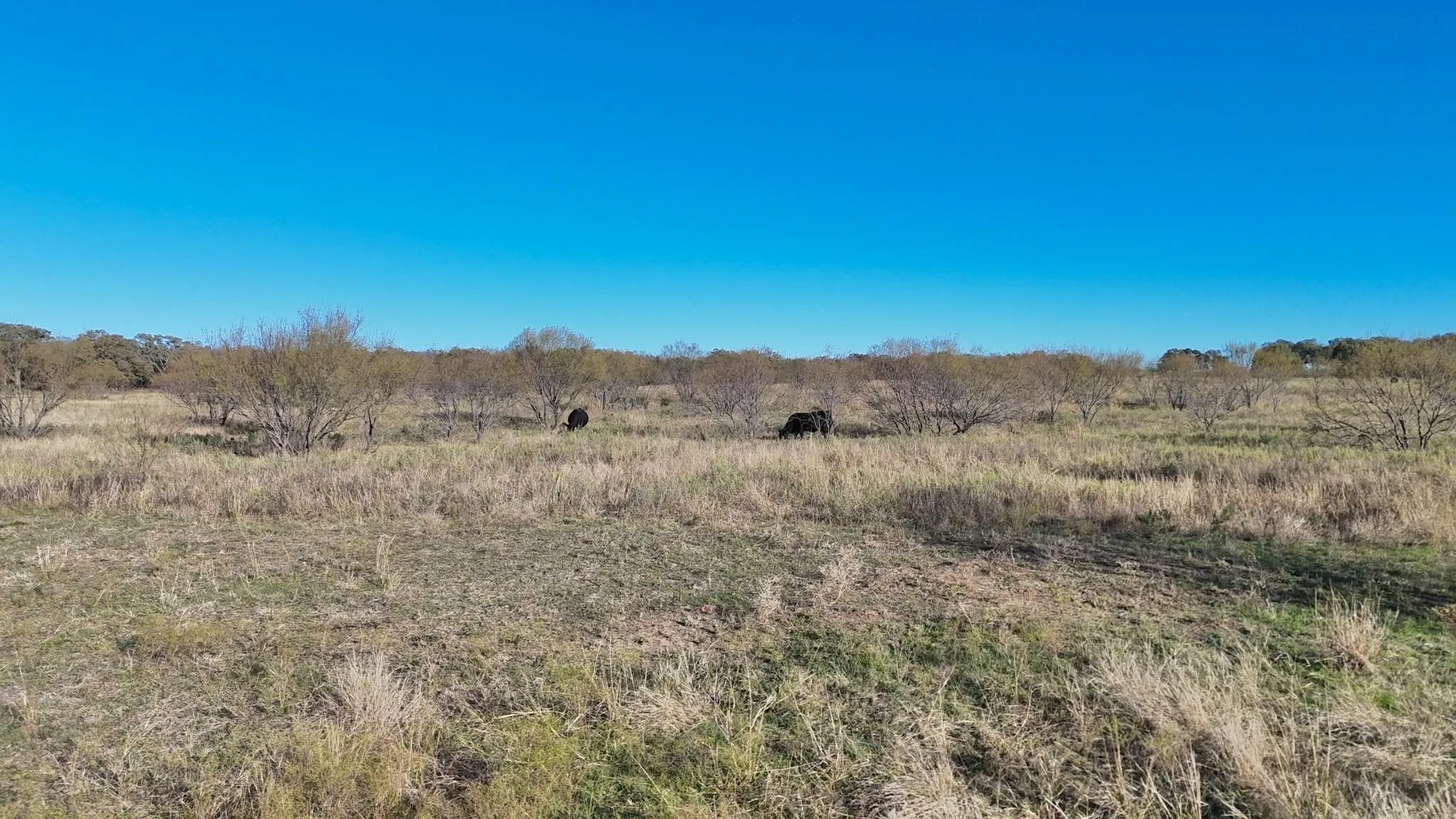 Unimproved Land For Sale in Palo Pinto County , LOT 23 BRAZOS VALLEY Lane, Mineral Wells, Texas 76068, 0, 0, Garage spaces, 0 Sqft, built in 0, mls#21168625, Real Estate Agent in Mineral Wells, Homes For Sale in Palo Pinto county, Homes For Sale in Mineral Wells, Realtor in Mineral Wells Texas, Real Estate Brokerage Independent Realty Texas, Luminita Cordes Realtor