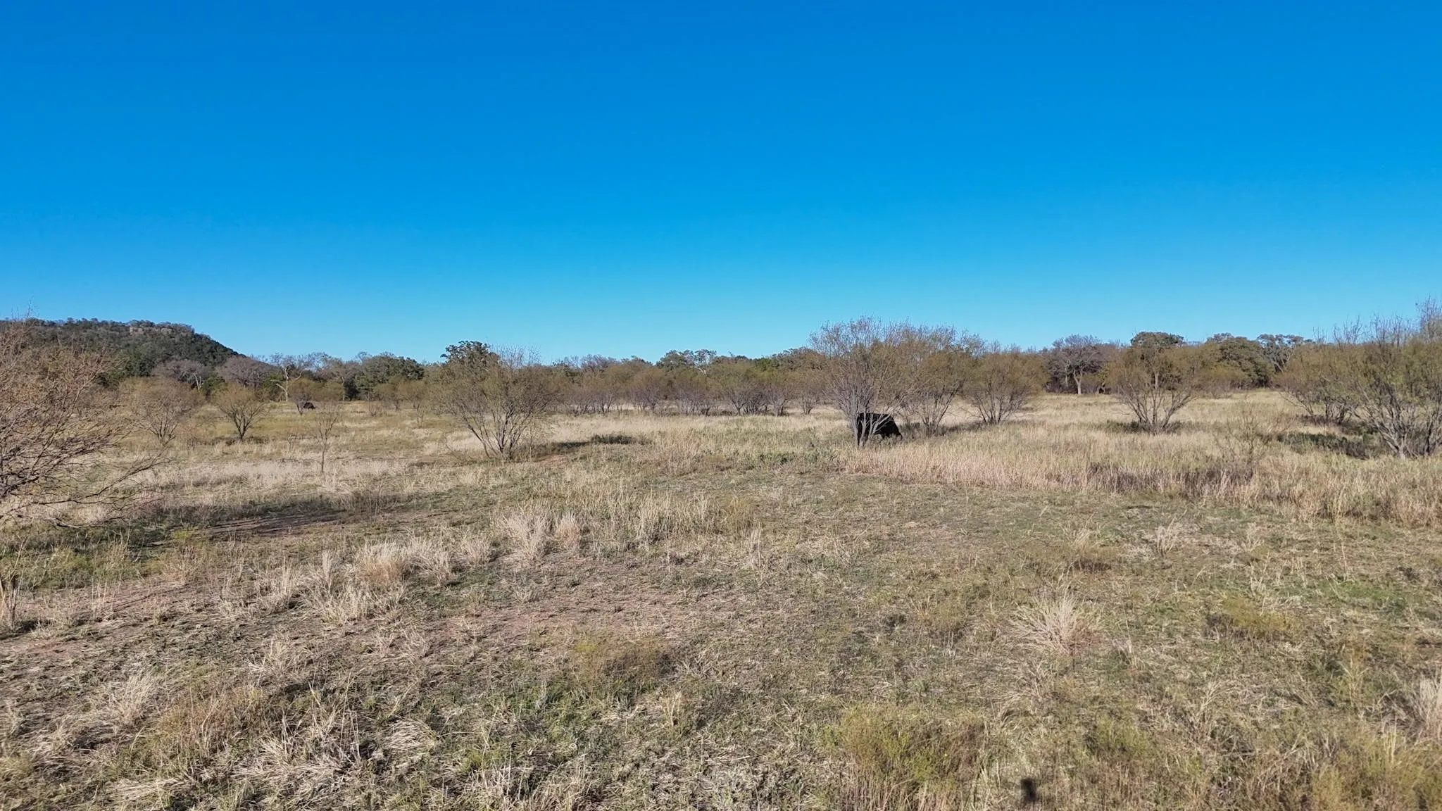 Unimproved Land For Sale in Palo Pinto County , LOT 23 BRAZOS VALLEY Lane, Mineral Wells, Texas 76068, 0, 0, Garage spaces, 0 Sqft, built in 0, mls#21168625, Real Estate Agent in Mineral Wells, Homes For Sale in Palo Pinto county, Homes For Sale in Mineral Wells, Realtor in Mineral Wells Texas, Real Estate Brokerage Independent Realty Texas, Luminita Cordes Realtor