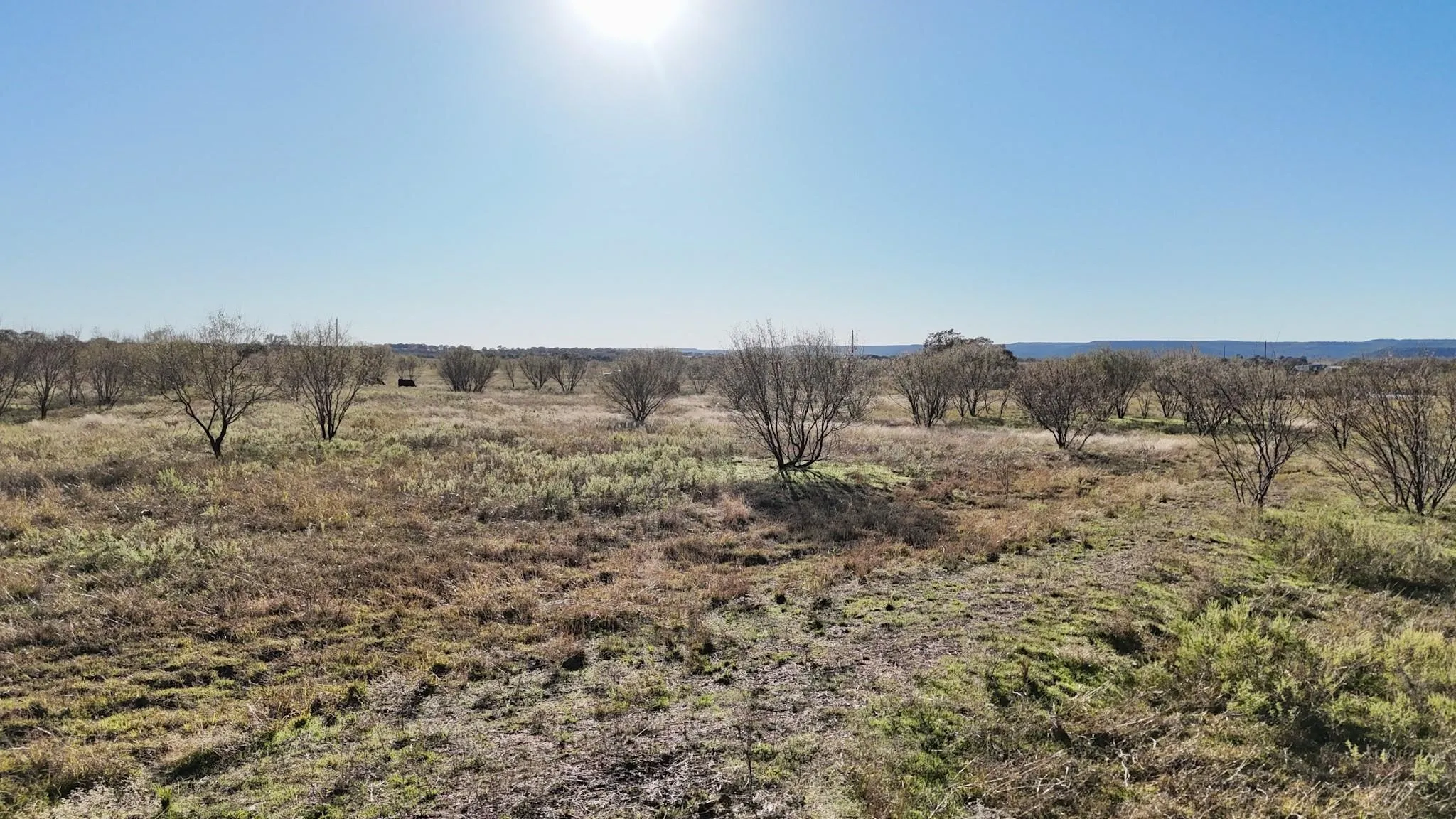 Unimproved Land For Sale in Palo Pinto County , LOT 23 BRAZOS VALLEY Lane, Mineral Wells, Texas 76068, 0, 0, Garage spaces, 0 Sqft, built in 0, mls#21168625, Real Estate Agent in Mineral Wells, Homes For Sale in Palo Pinto county, Homes For Sale in Mineral Wells, Realtor in Mineral Wells Texas, Real Estate Brokerage Independent Realty Texas, Luminita Cordes Realtor